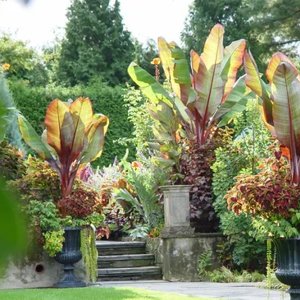 The Art and Artistry of Chanticleer: A Focus on the Art and Whimsy  