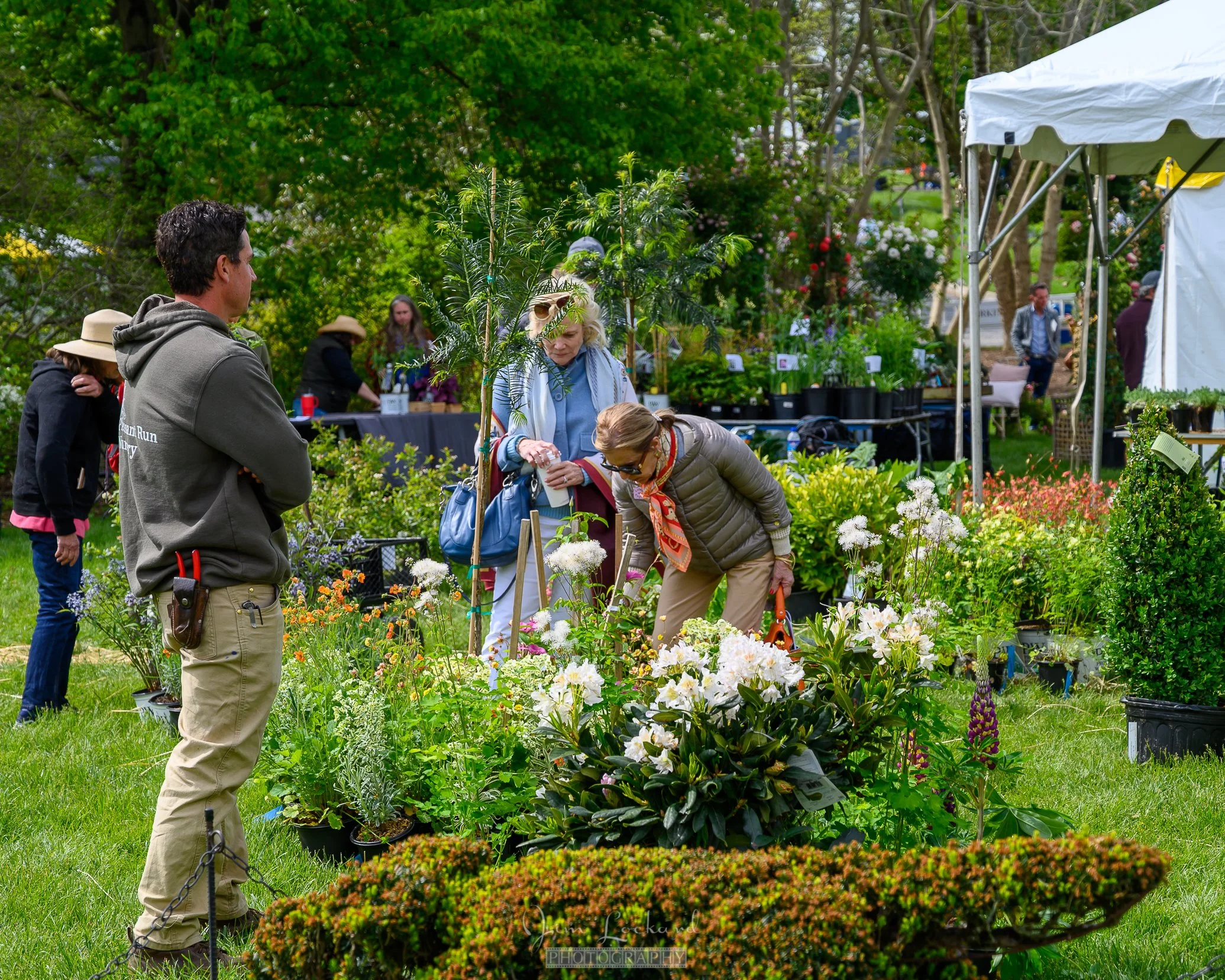 Shoppers at Garden Festival