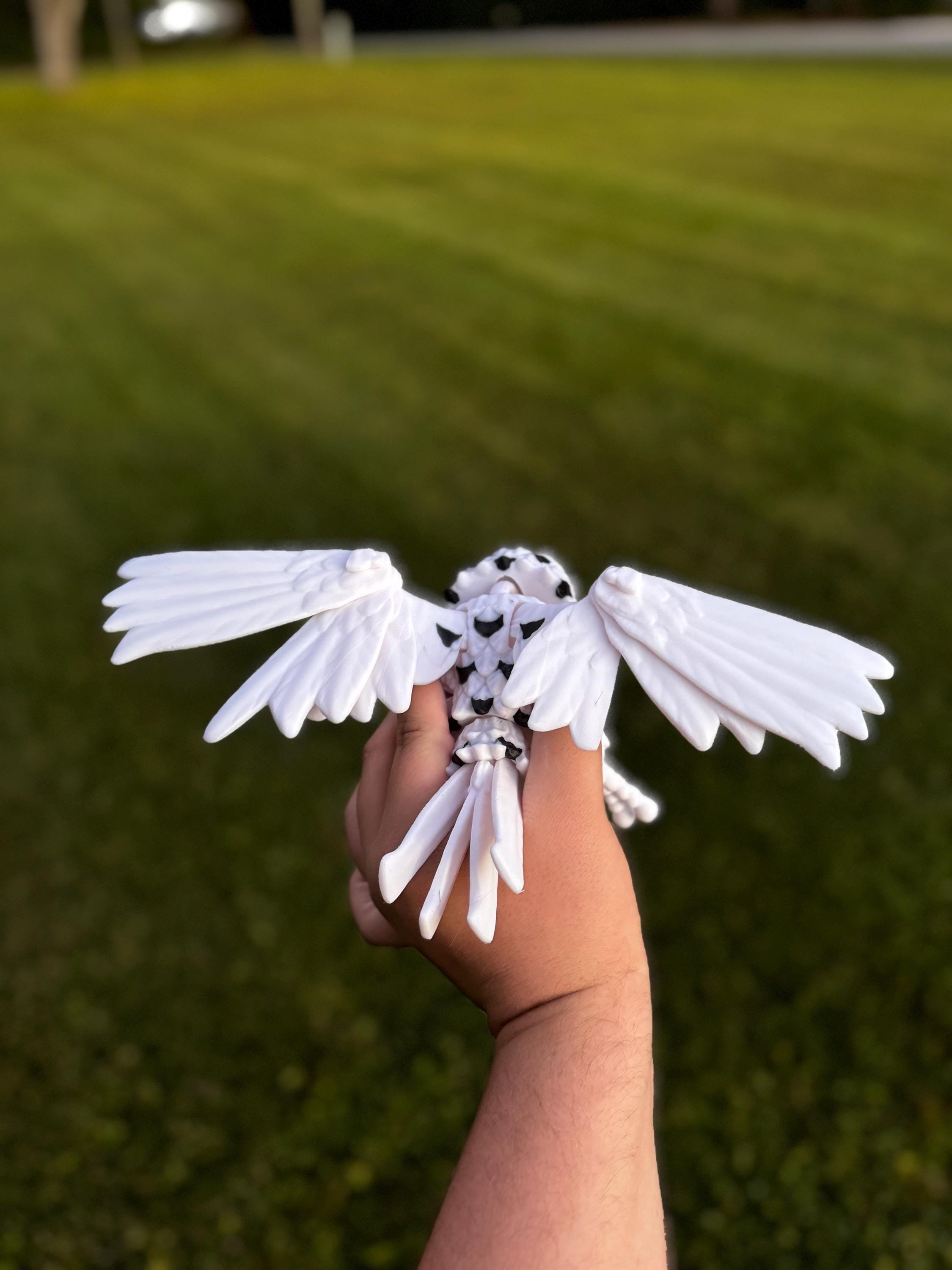 https://i.etsystatic.com/34166041/r/il/c66ad7/6407138545/il_fullxfull.6407138545_trb1.jpg