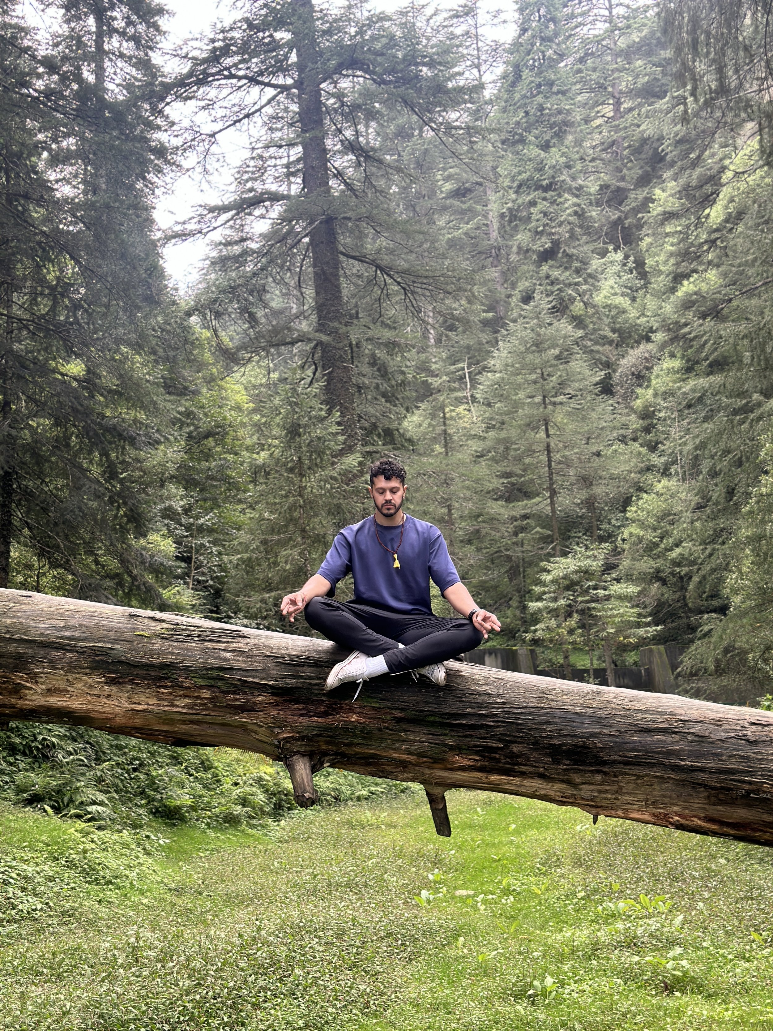 Breathwork + Spinal Energetics workshop