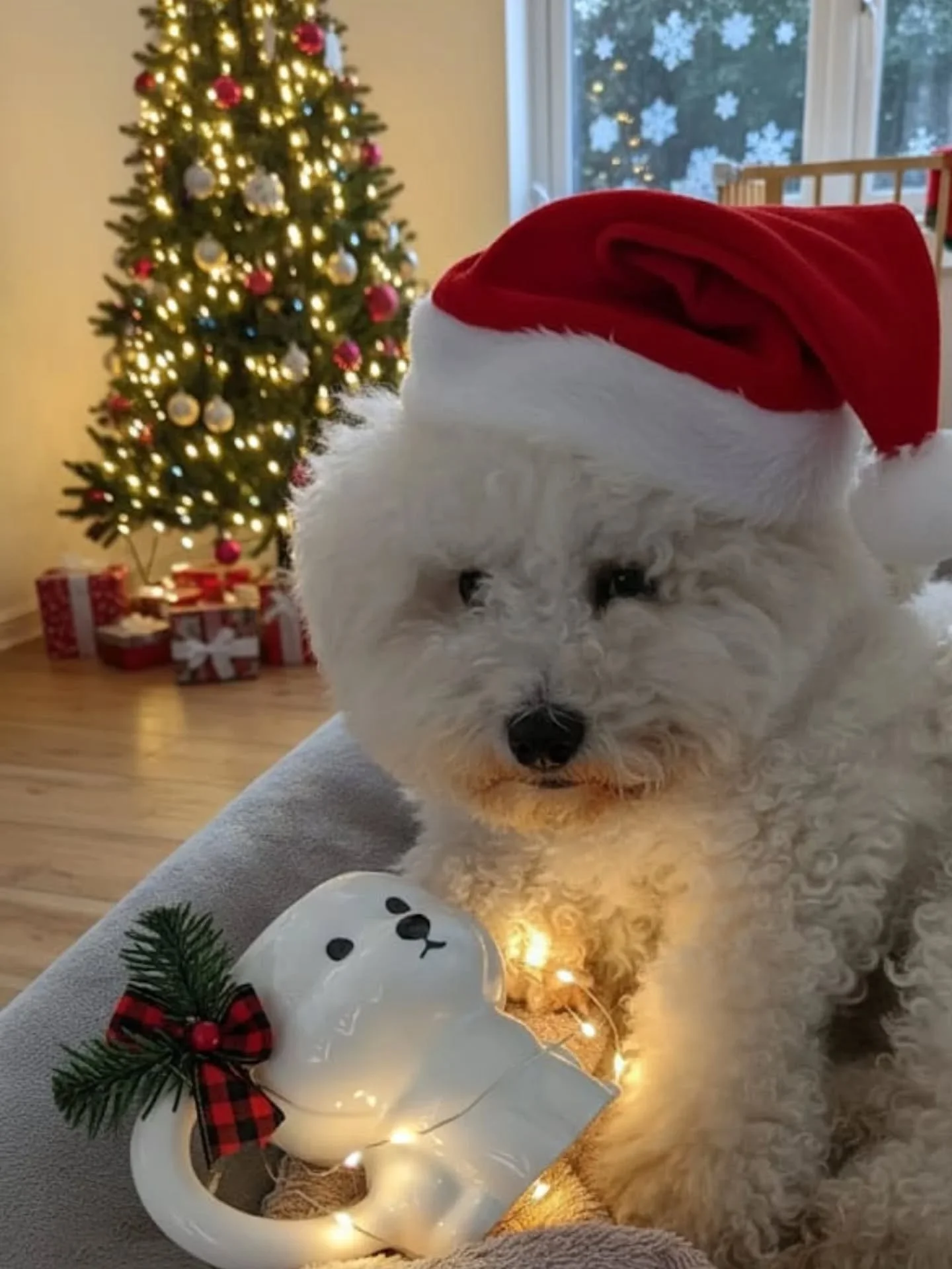 Wishing you all a very Merry Christmas &amp; a fabulous NY 💜 

May you have plenty to eat, plenty to drink &amp; plenty to laugh about. We'll see you on 2 Jan with renewed energy after our lil break 🤩

Otto will be asking about your 'homework' duri