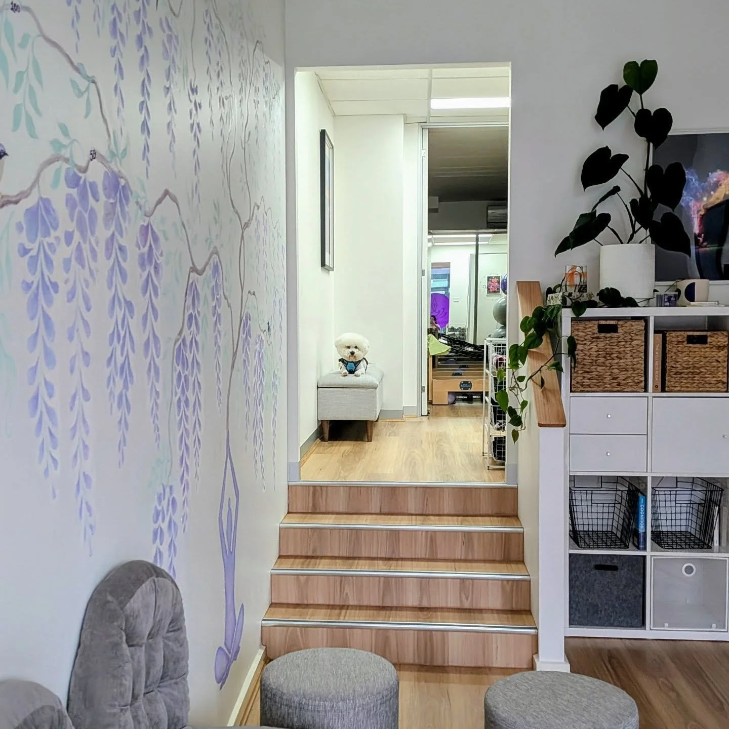 As we get back into the swing of things, Otto's reminding you of our cancellation policy. If you're no longer able to attend - 

&bull; Cancel class 8 hours prior to avoid a $15 late fee
&bull; No-shows incur a $20 fee

If you have a Classpack, your 