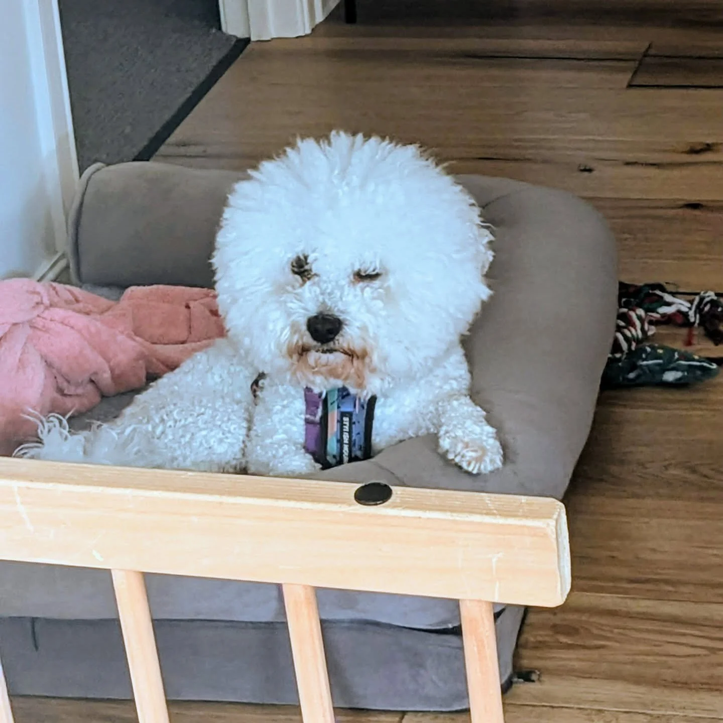 Hey you, YES YOU! Uh oh you made eye contact.. have you booked your classes this week yet?

Tonight 6:30pm Barre and 7:30pm Reformer 🍑