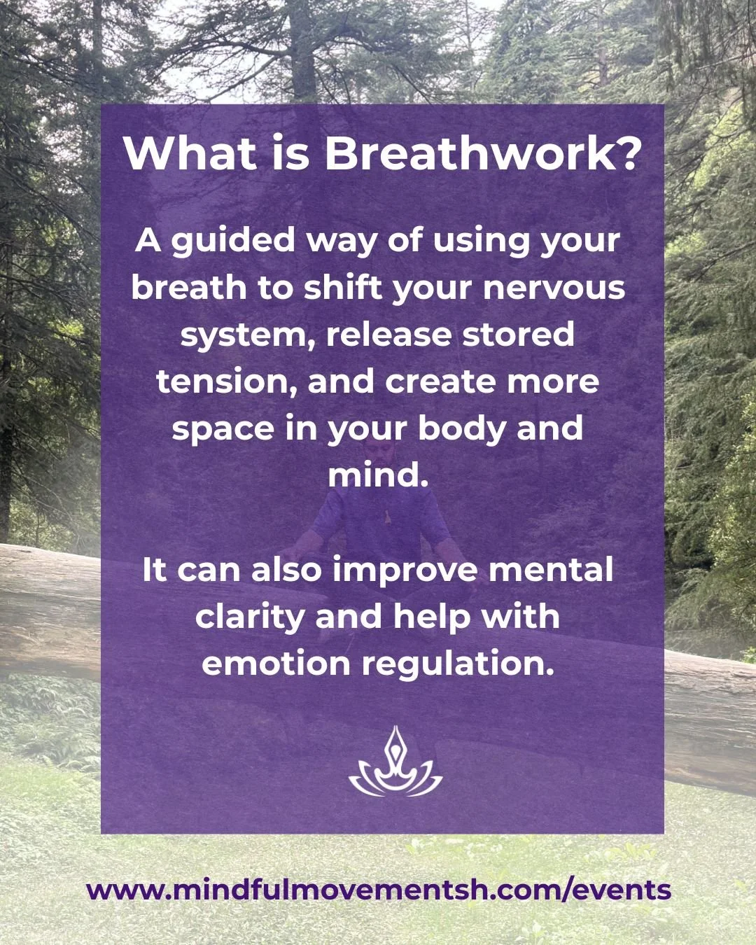 Join us Sunday 26 April at 12:15pm for our special workshop w @drbrendanroseosteo 

Spinal Energetics is a holistic healing modality that combines elements of Eastern energy medicine and Western somatic practices to support physical, emotional, and e