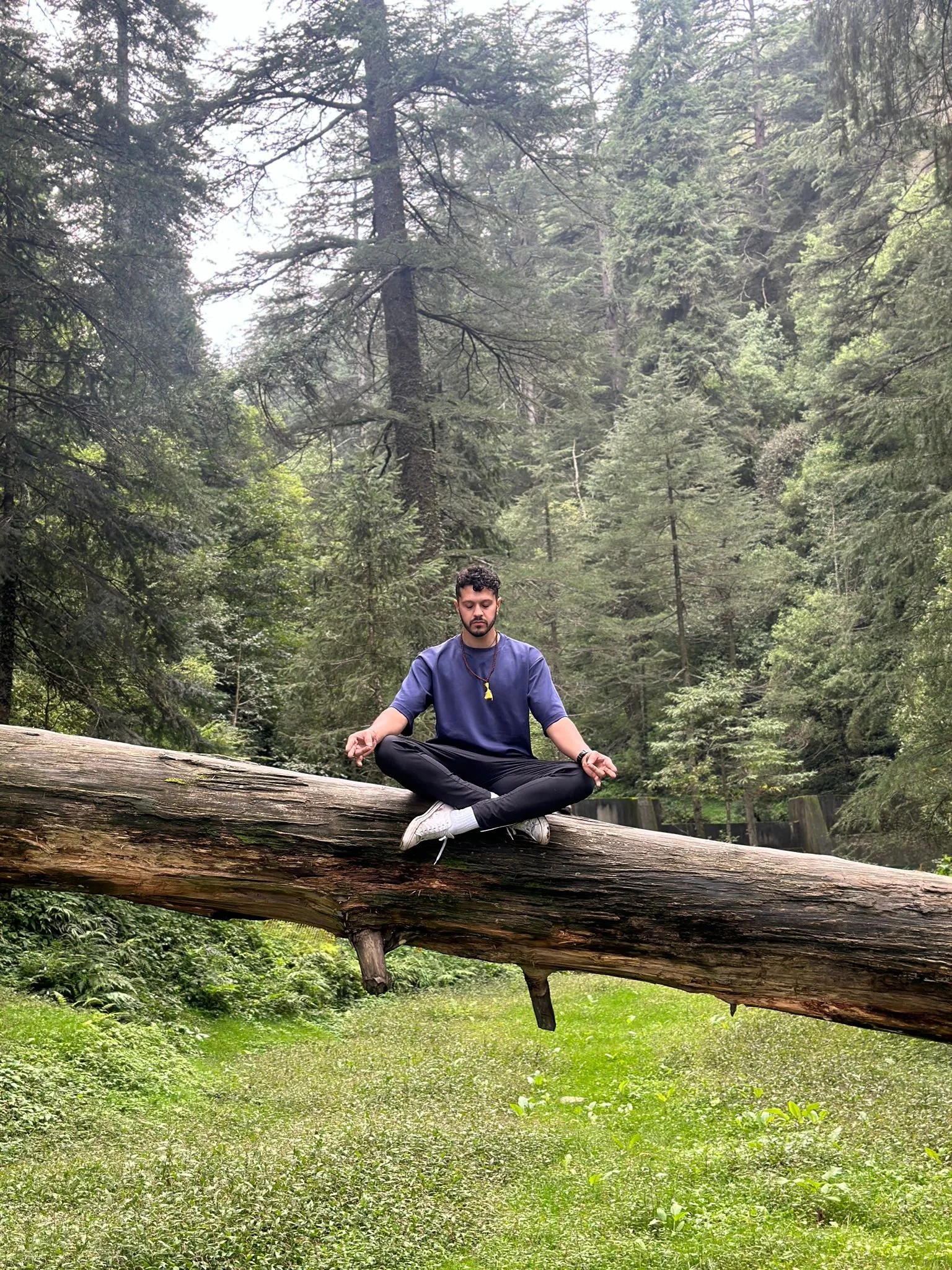 Breathwork & Spinal Energetics