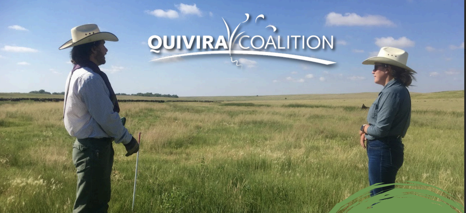 Passing the Reins: A Succession Planning Workshop