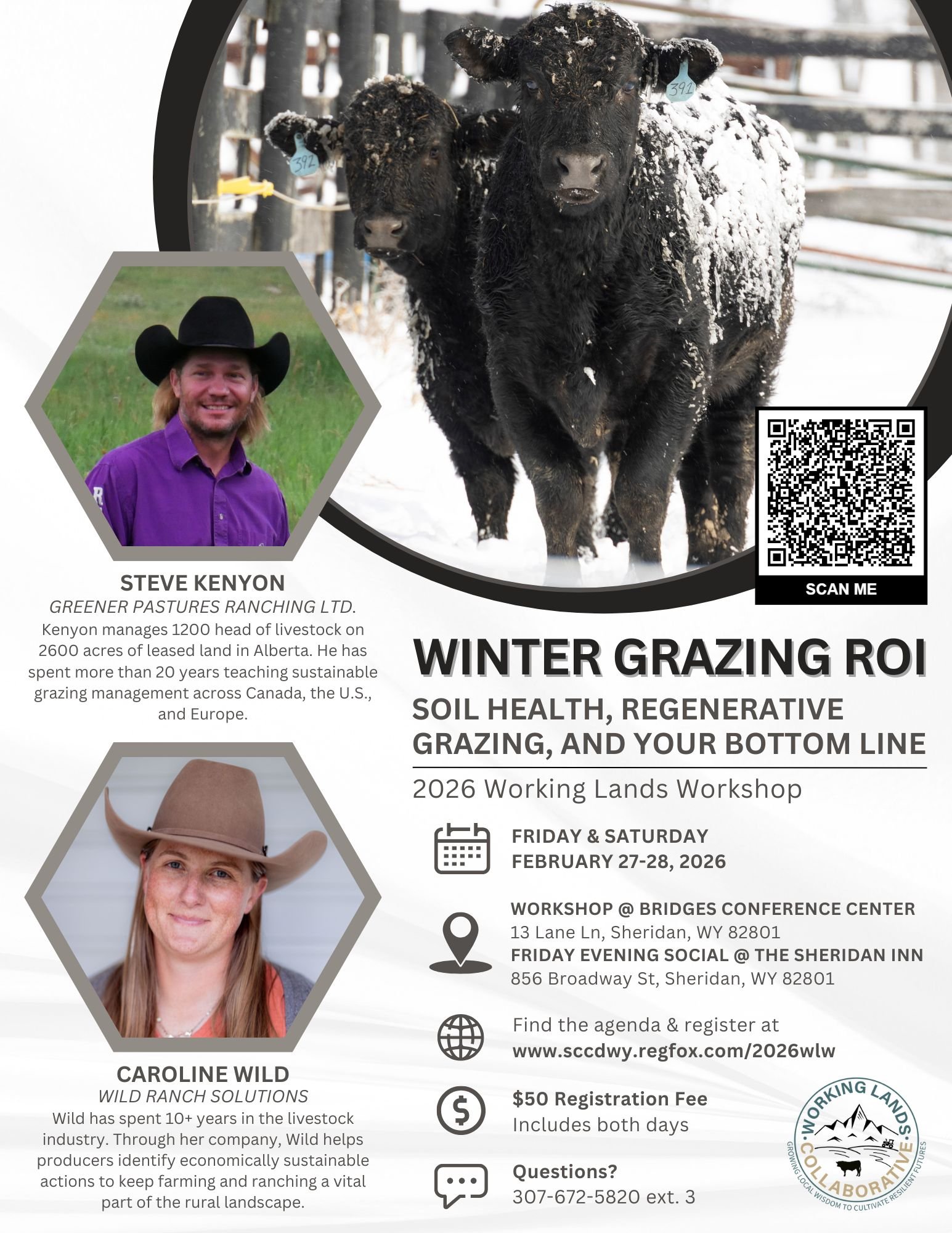 Winter Grazing ROI