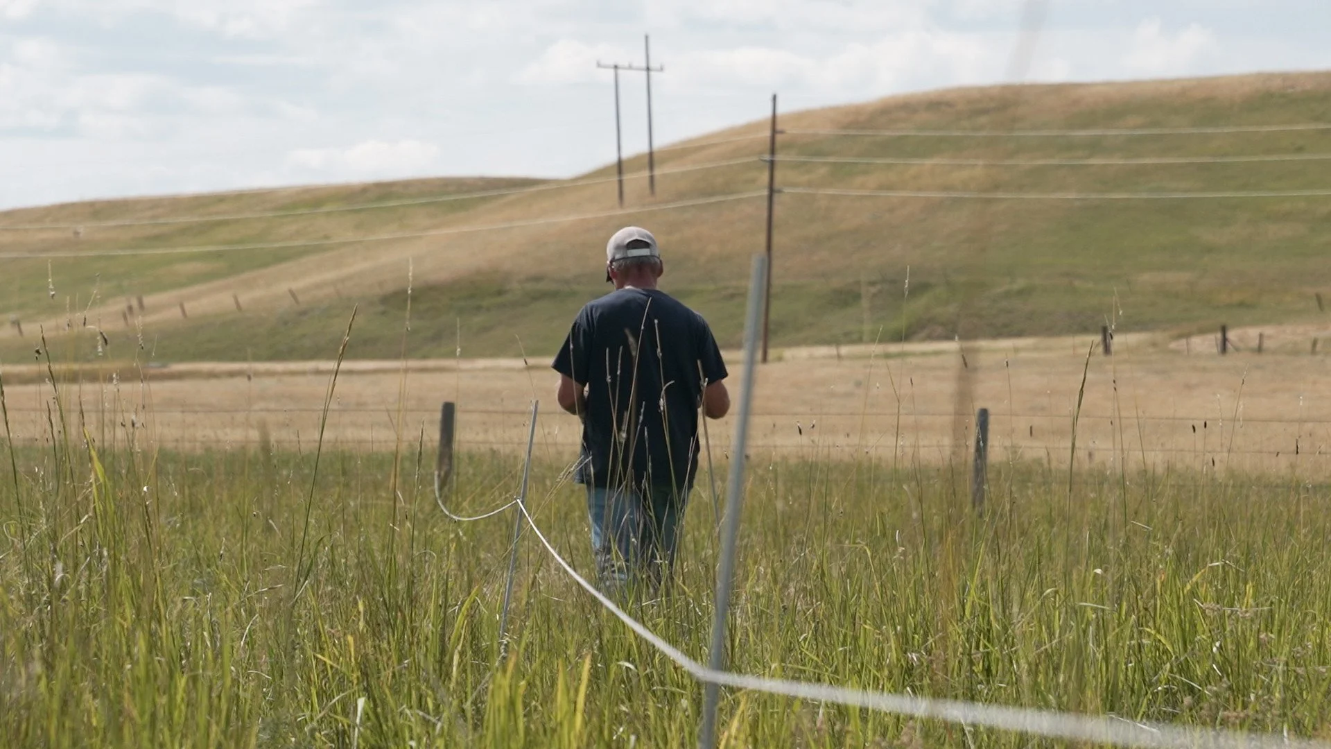 Grazing Strategies for Drought
