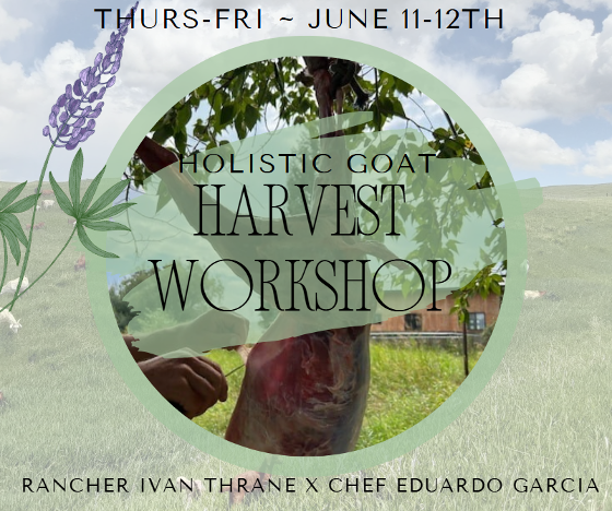 Holistic Goat Harvest Workshop