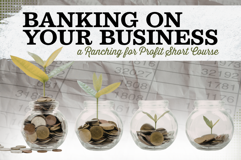 Ranching for Profit Short Course