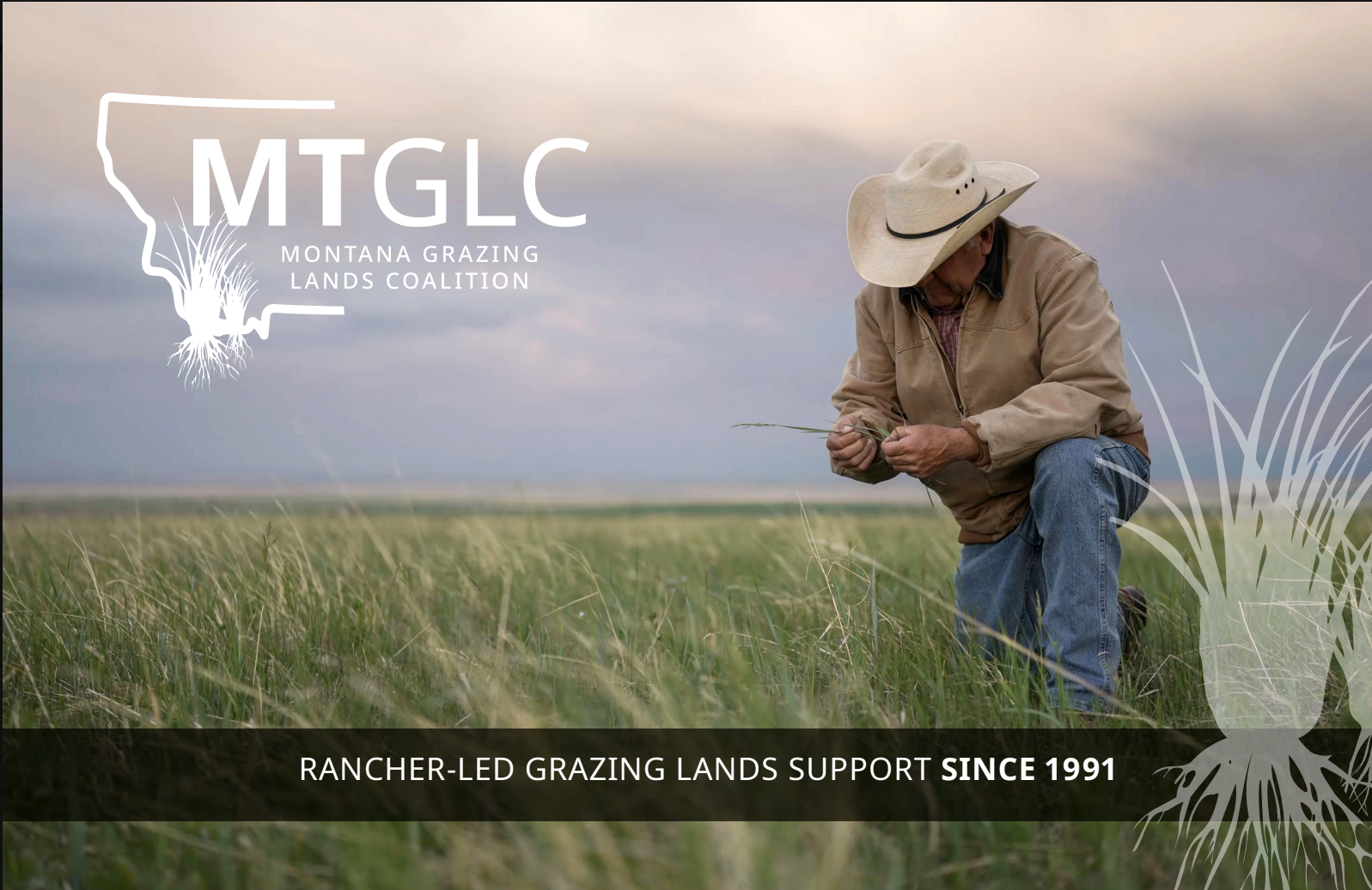 Welcome &amp; Introduction to Our *NEW* Website &amp; Blog!