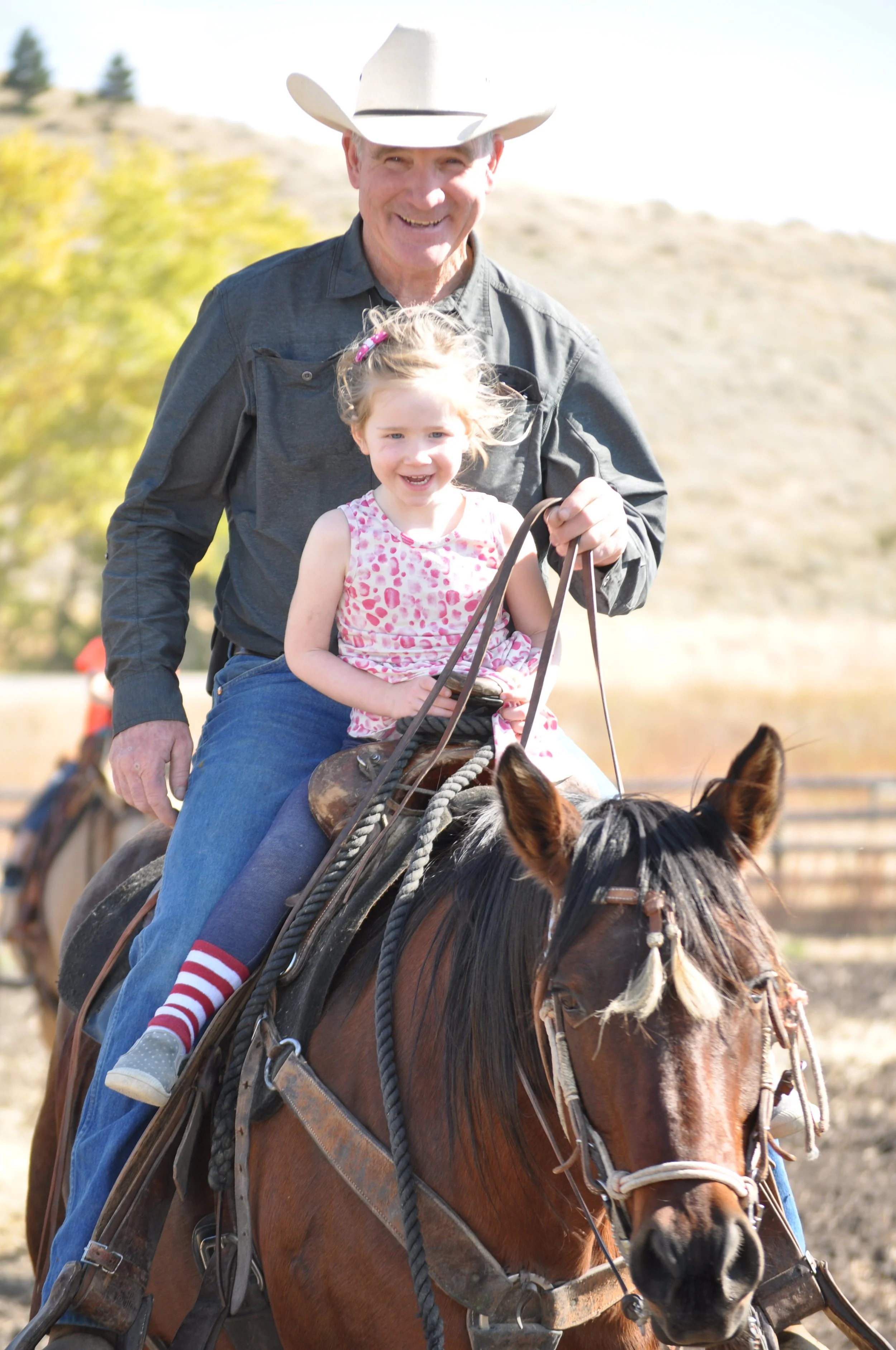 David Mannix. MTGLC Board.