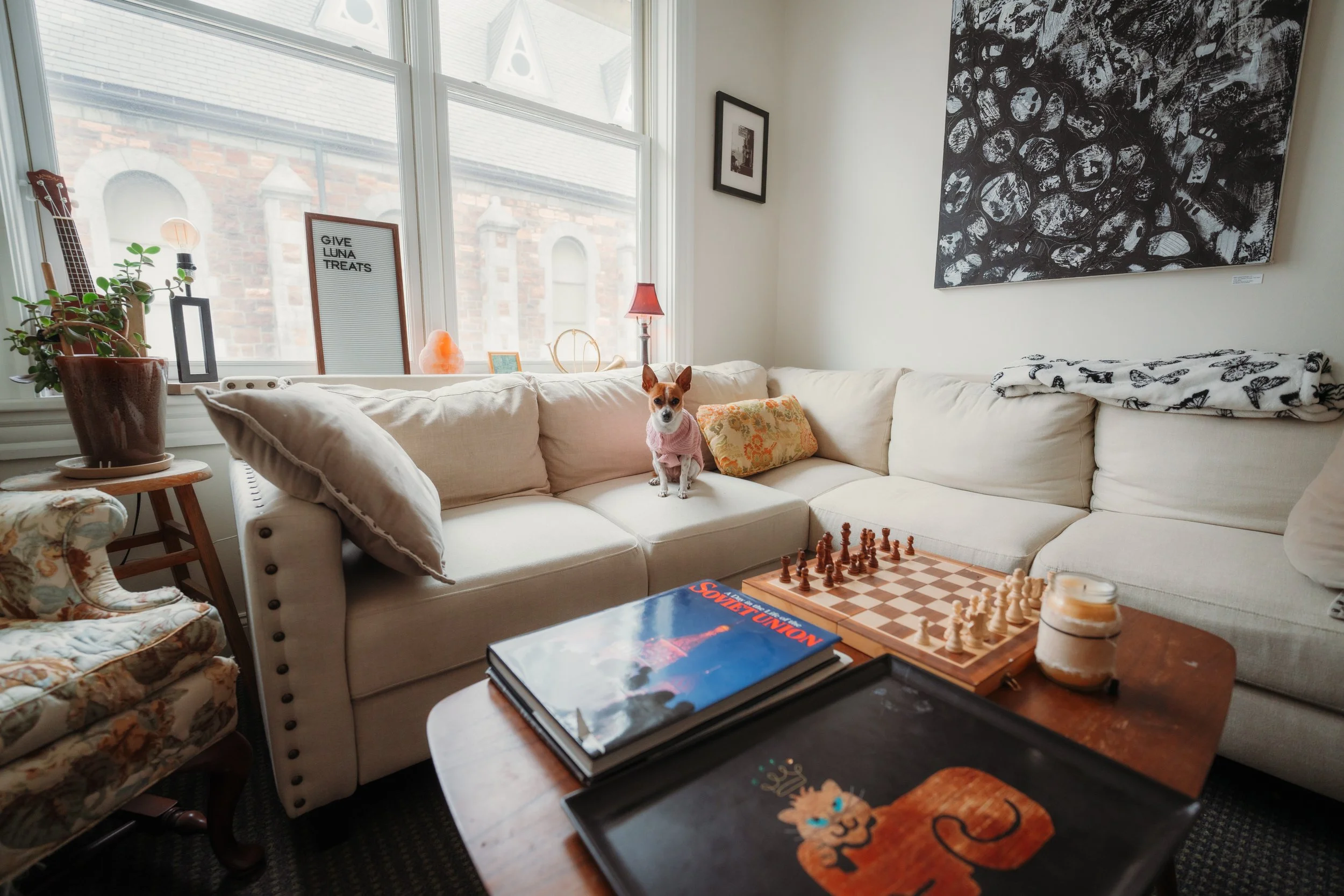 Living room with a beige sectional sofa, a small dog in a pink sweater sitting on the middle cushion, a wooden coffee table with chess, magazines, and a candle, and large windows with decorative items and black-and-white artwork on the wall.