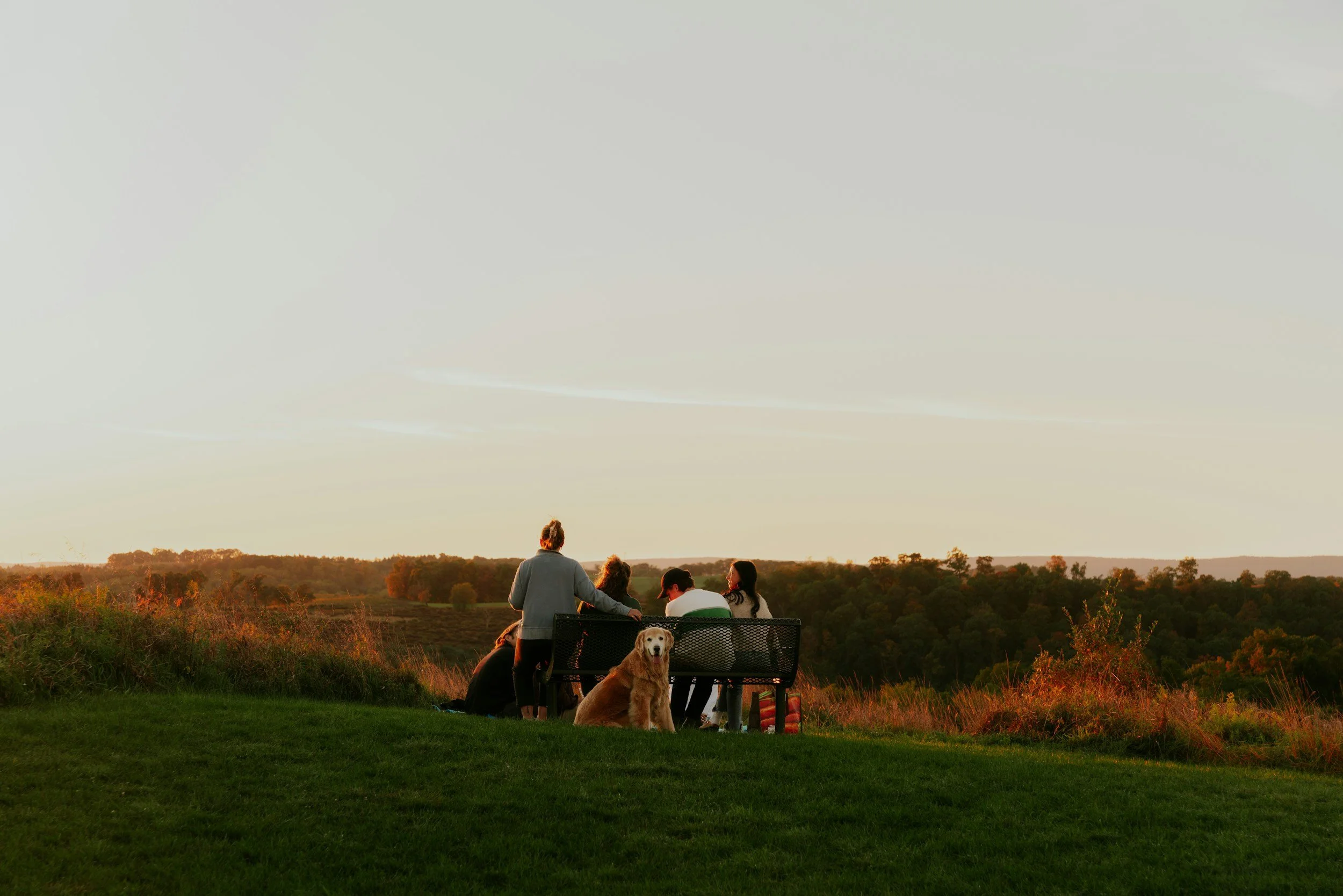 A group of people with dogs sitting on a bench in a grassy area, watching the sunset over a scenic landscape with trees and hills.