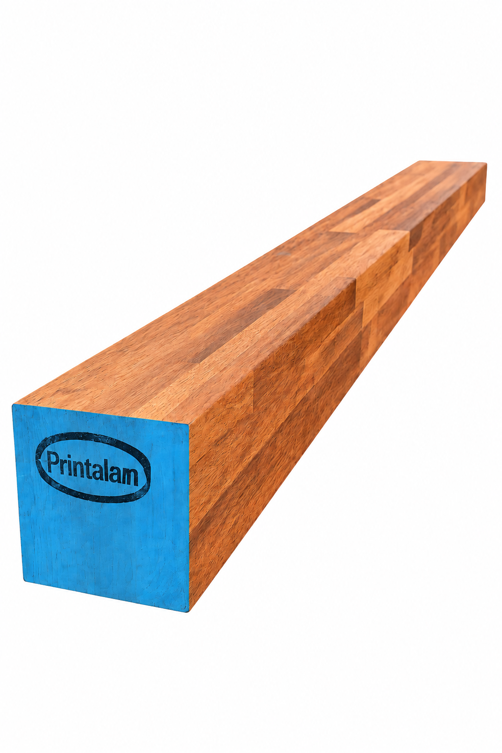 ChatGPT Image Sep 15, 2026, 07_05_54 AM.png