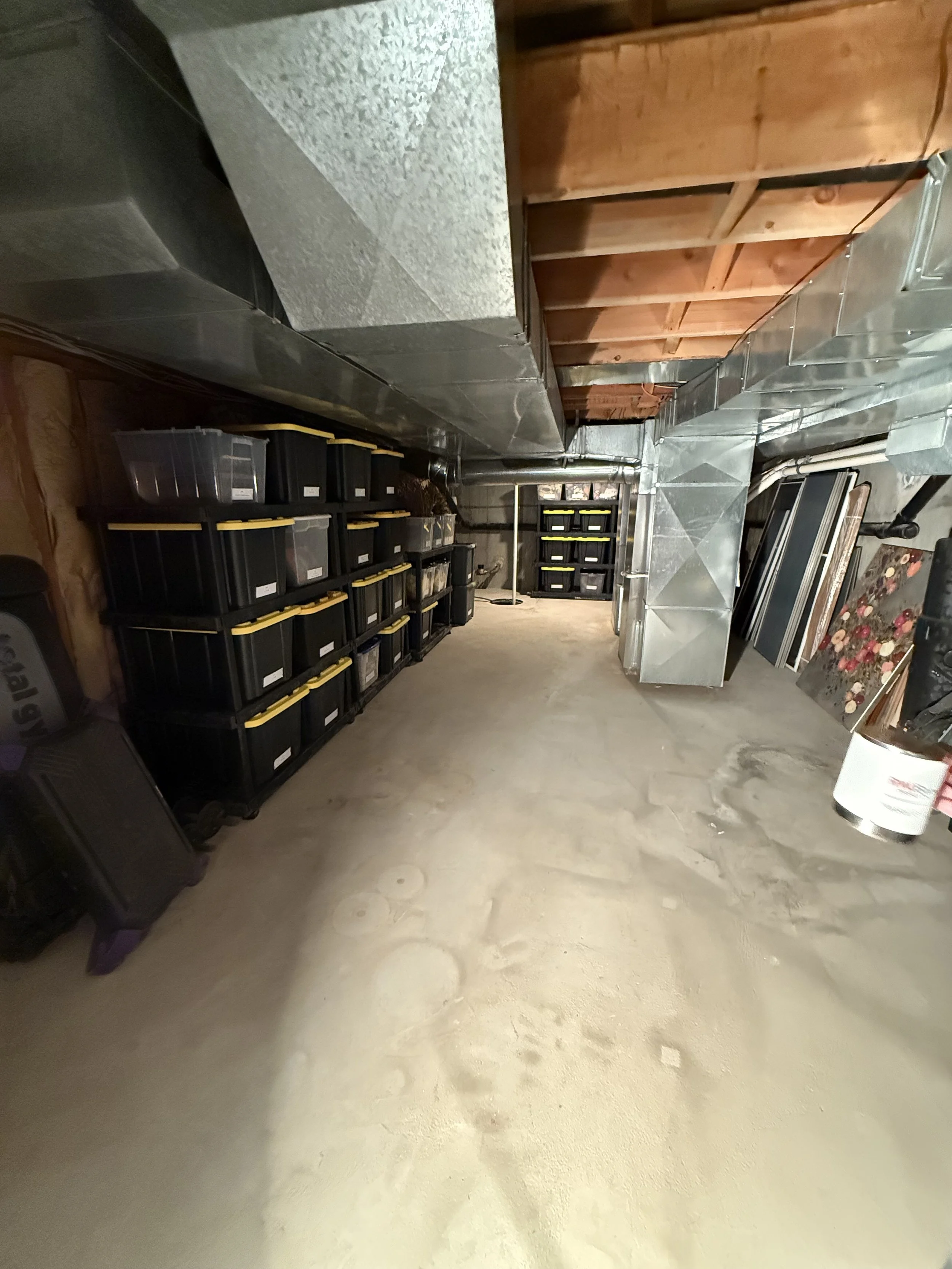 Organized basement storage area after professional organizing in Mercer County, Central New Jersey, with labeled bins and clear walkways.