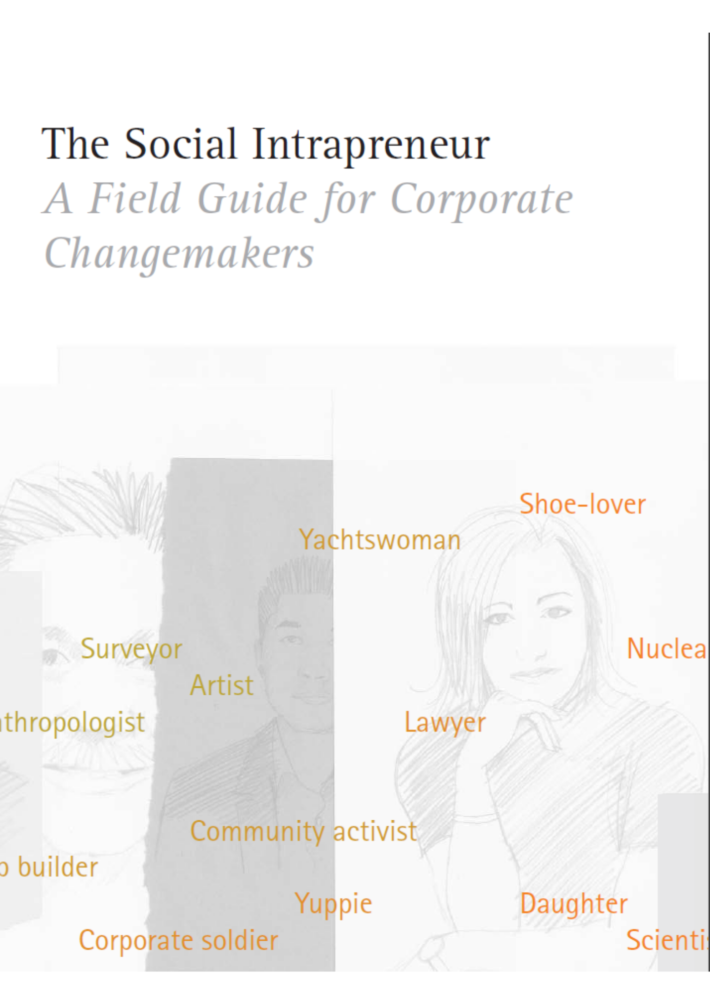 The Social Intrapreneur cover image.png