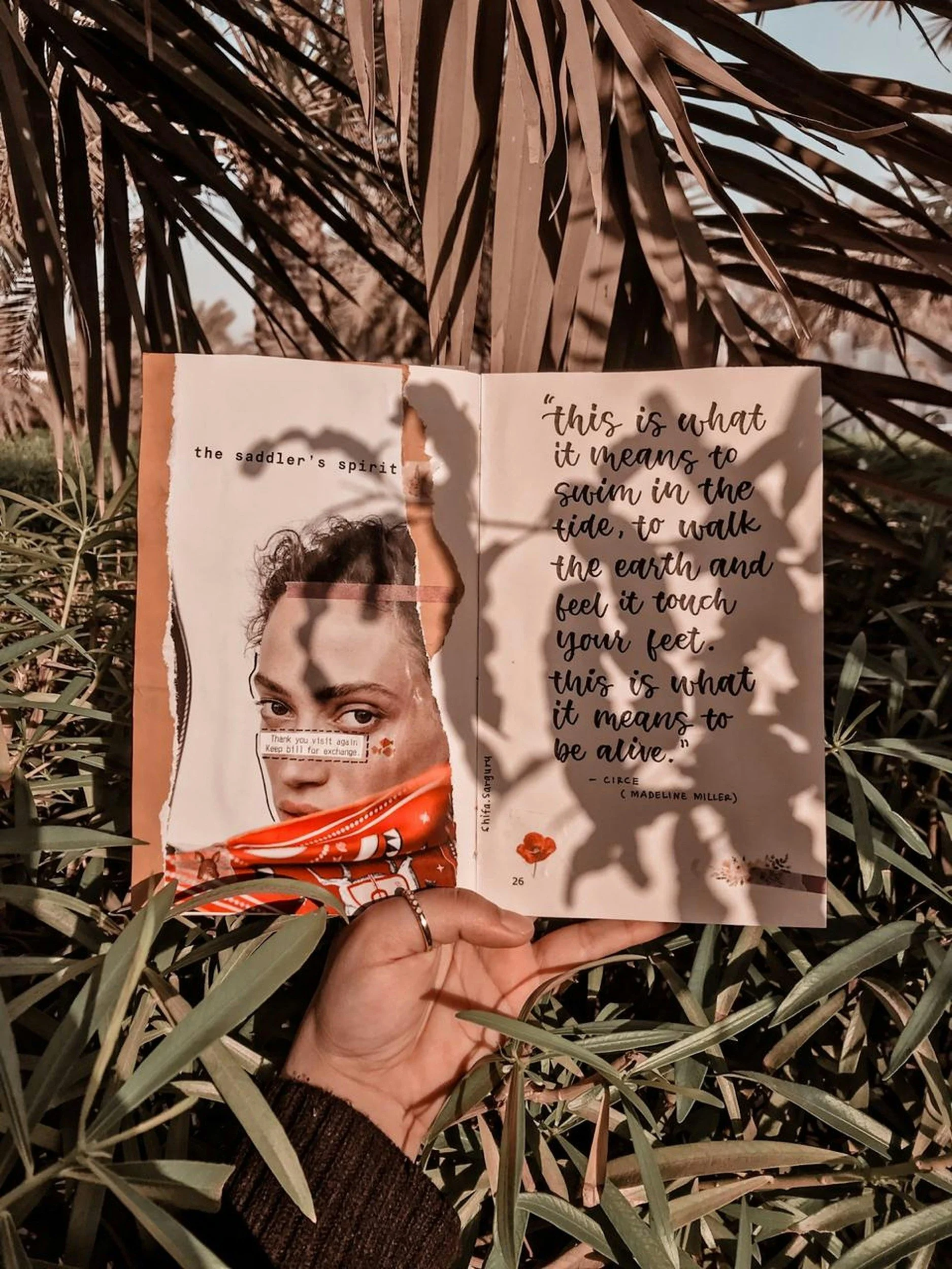A person holding an open art therapy journal with a collage on the left page and a quote on the right page, surrounded by plants with shadow patterns on the pages.