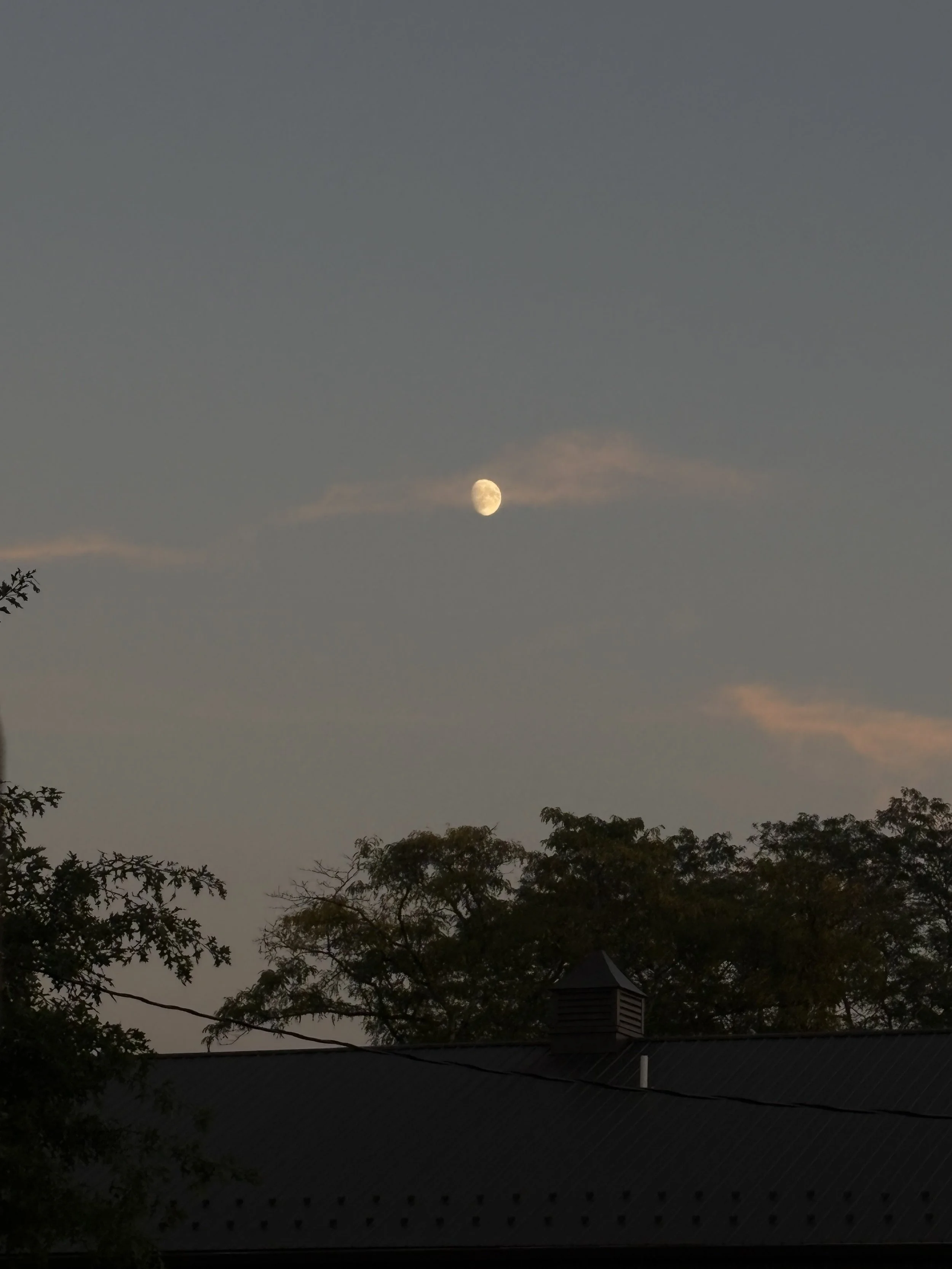 Managing Anxiety in an Anxious World: Therapy While Surviving the News Cycle