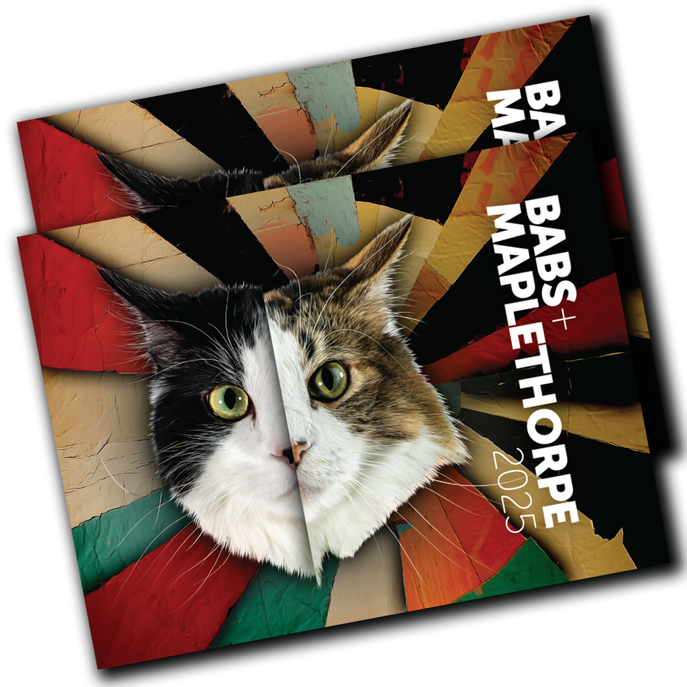 2025 Babs + Maplethorpe Calendar Double Bundle