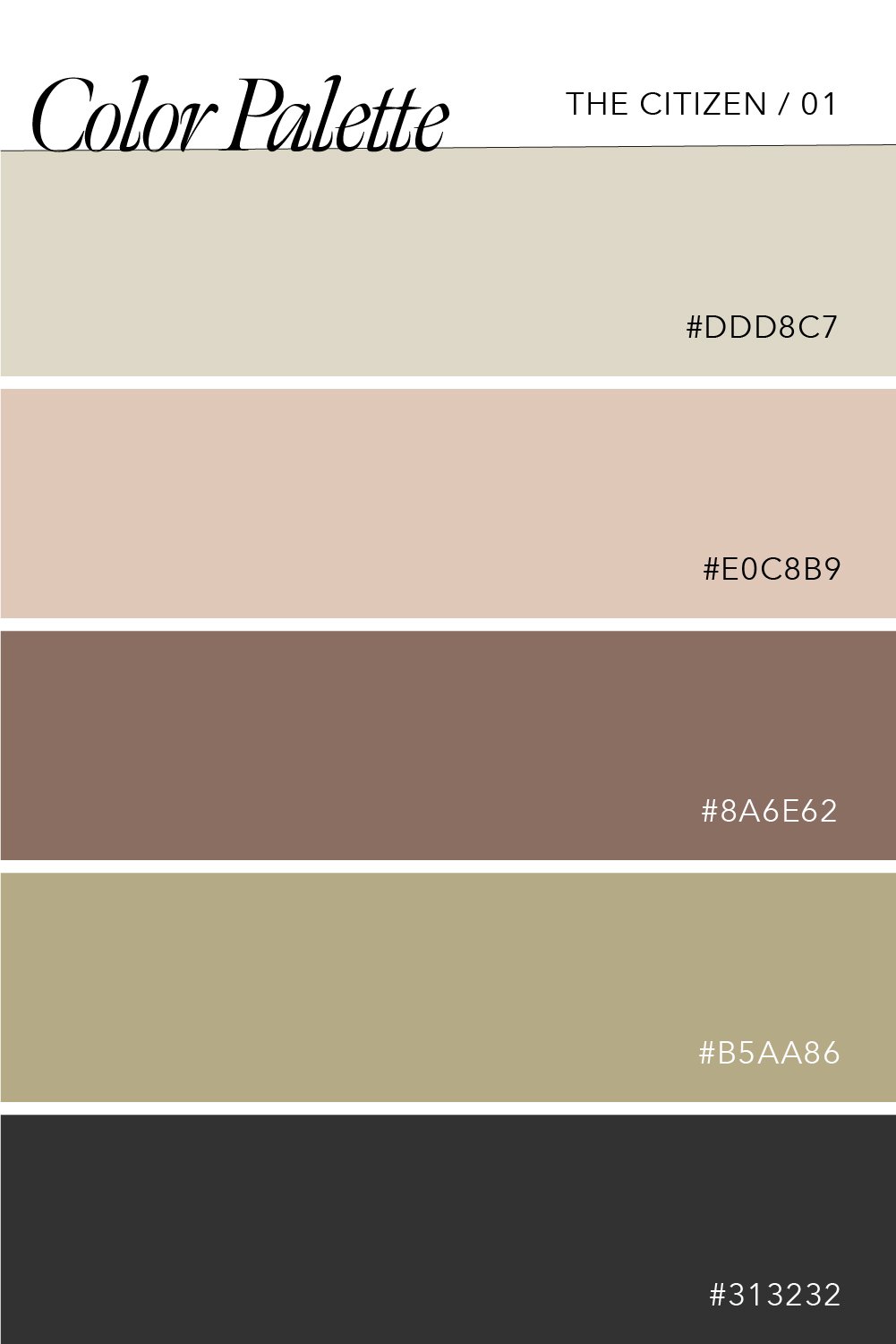 Color Palettes for the Citizen Brand Archetype