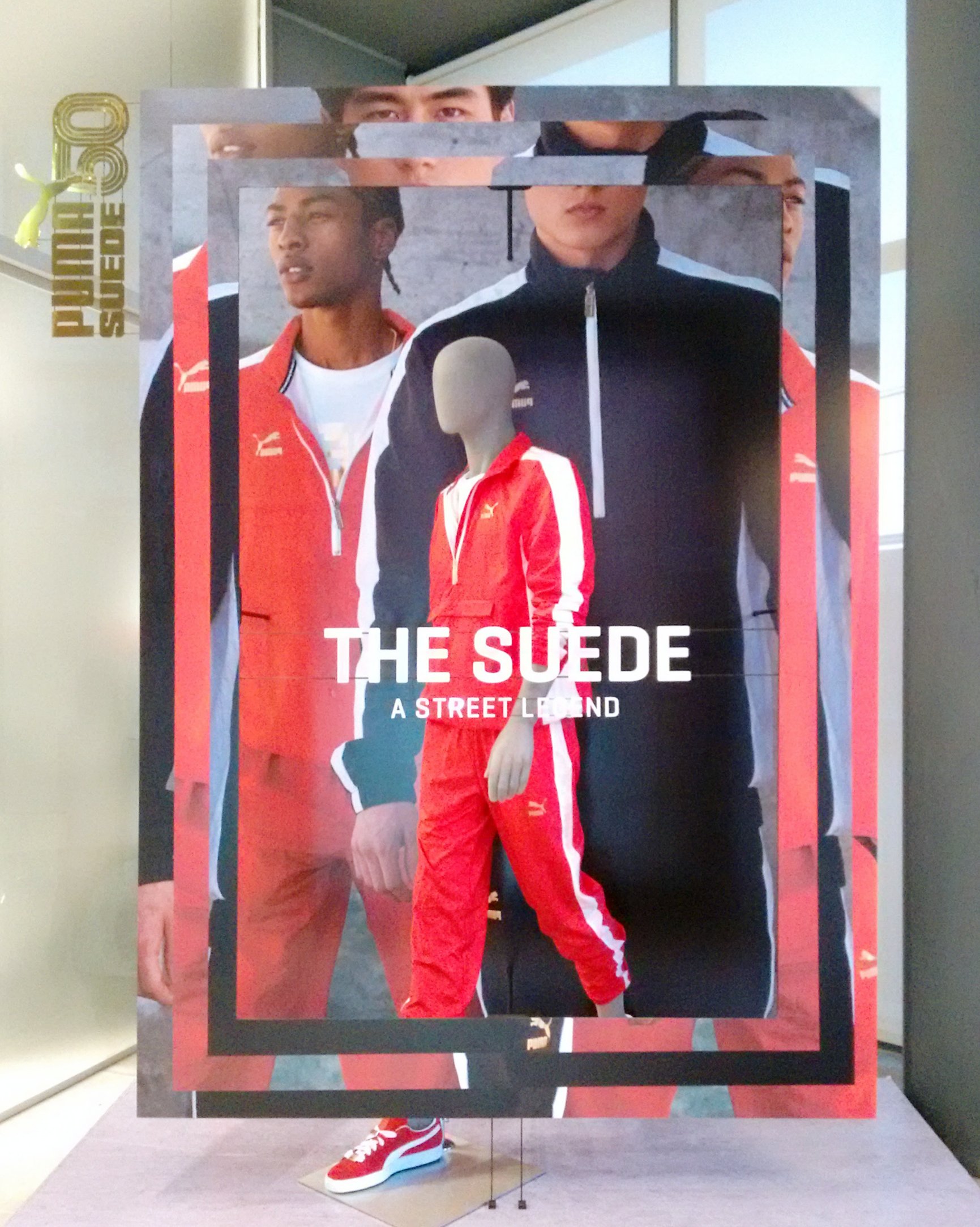 Suede 50 window display
