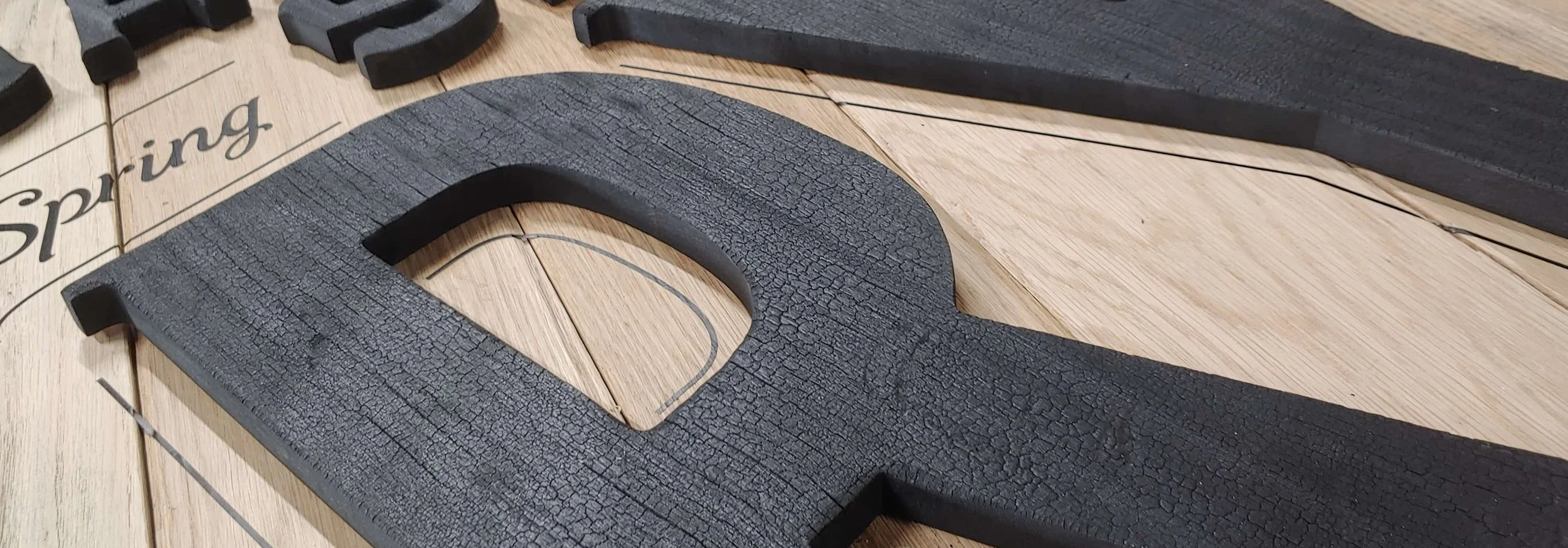 20230127_161136 copy.jpg