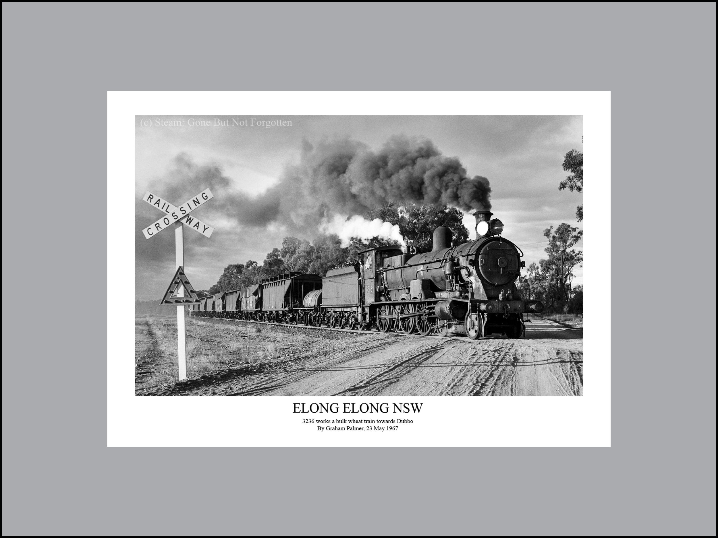 elong elong w s r.jpg