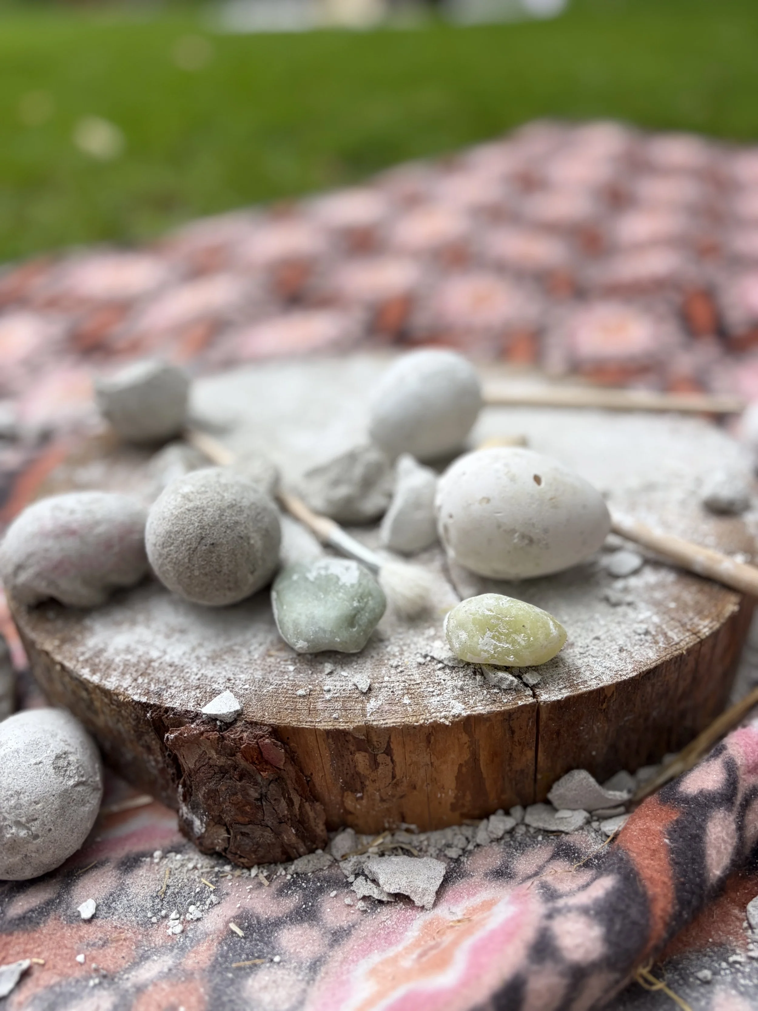 Egg-scavator Discovery Bundle