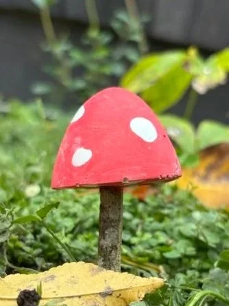 Paint Your Own Mushroom Kit for kids by Wild Wanderers