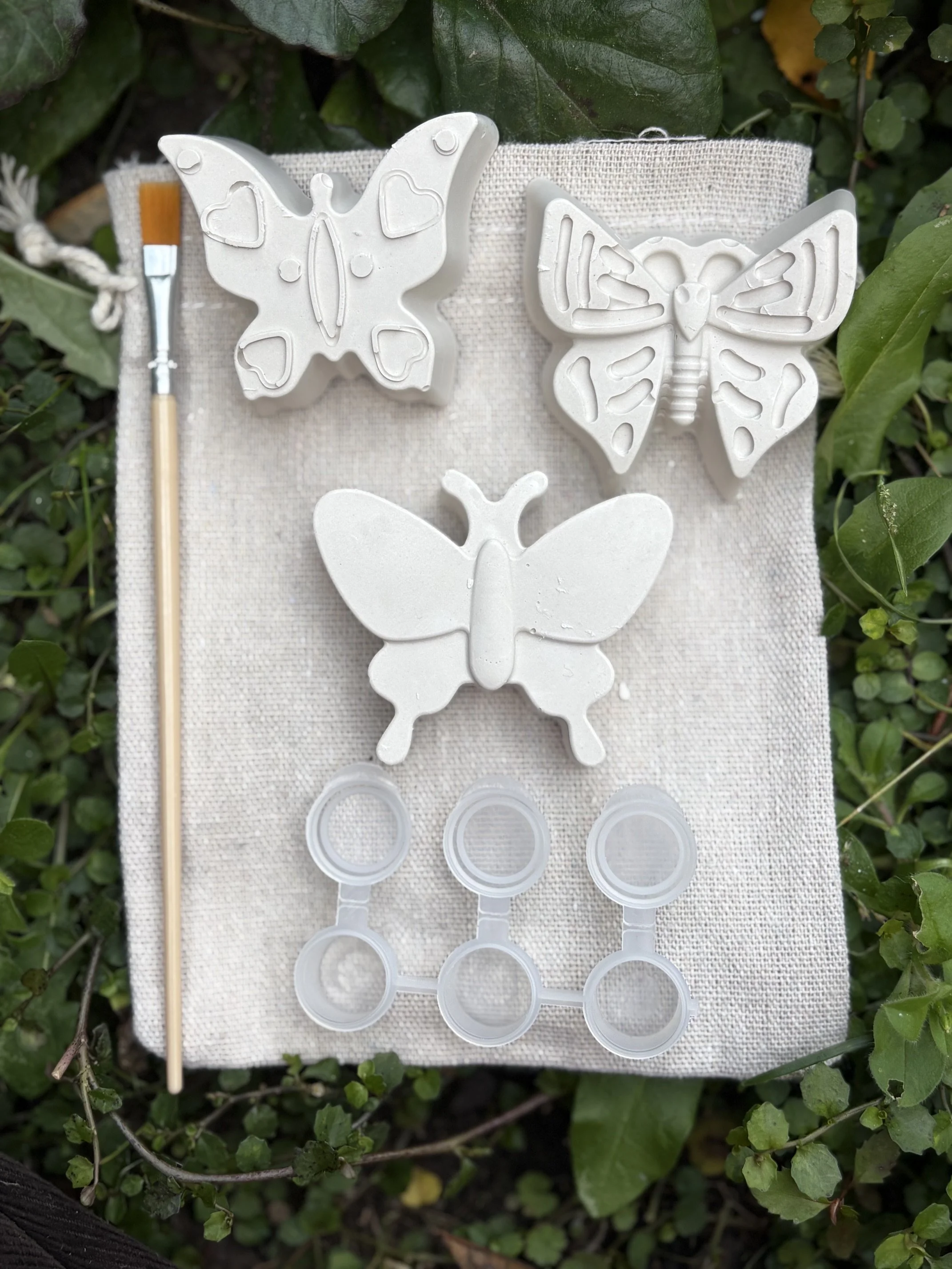 Paint Your Own Butterflies Kit