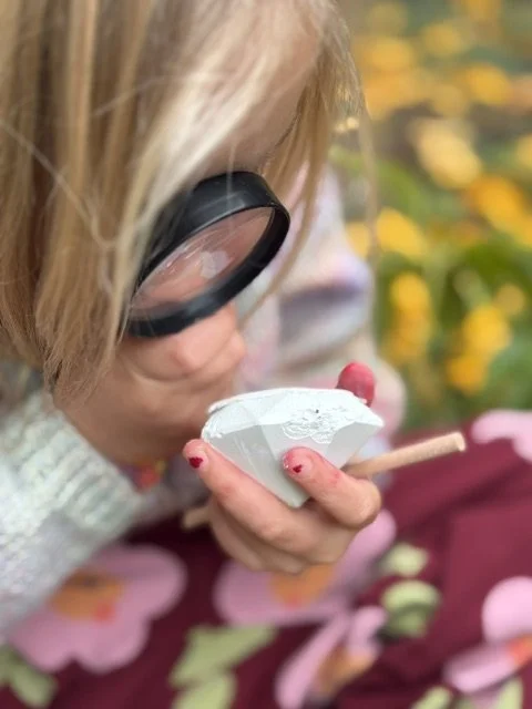 Gem Cracking Kit for Kids by Wild Wanderers