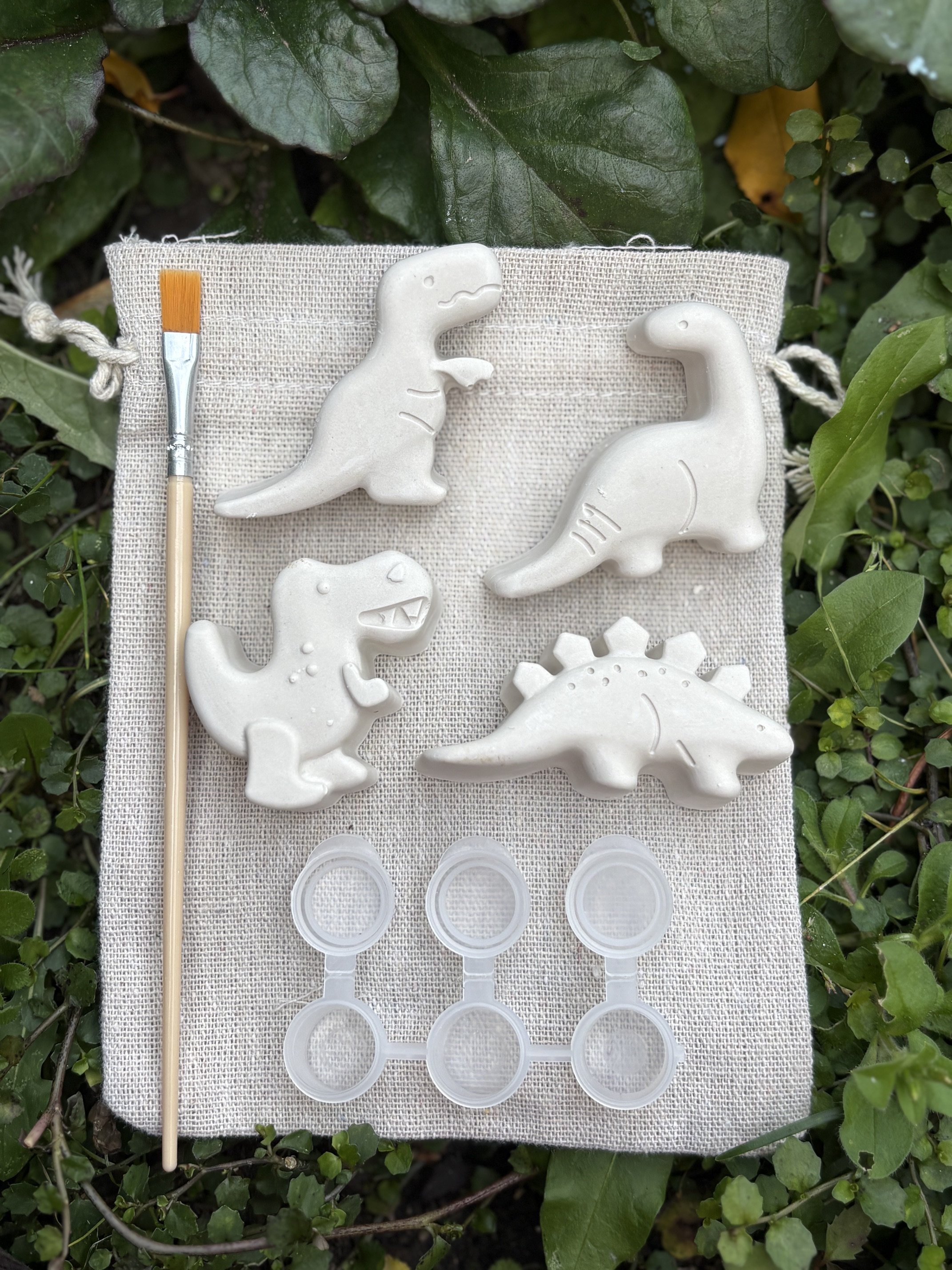 Paint Your Own Dinosaurs Kit