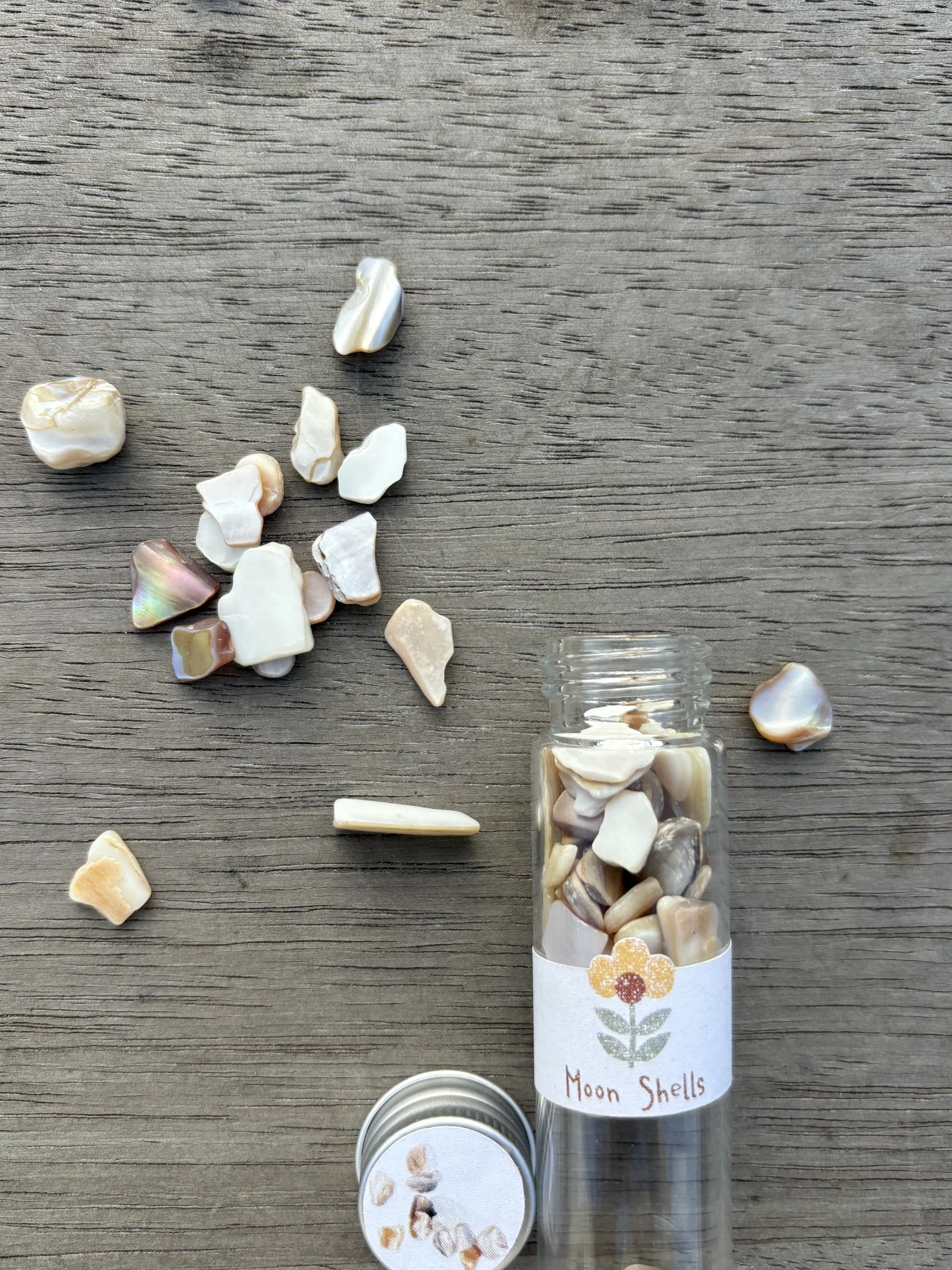 Moon Shells Topping