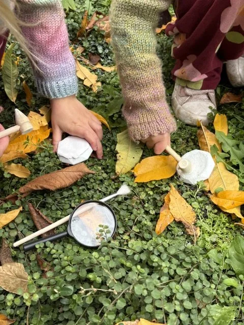 Gem Cracking Kit for Kids by Wild Wanderers
