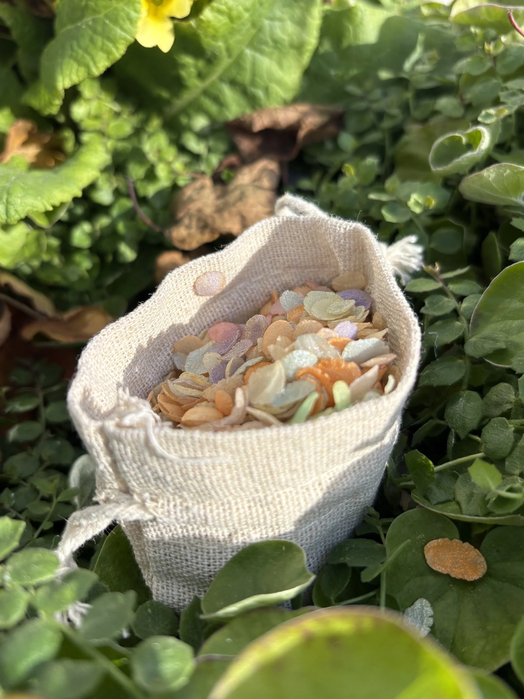 Rainbow Petals for kids by Wild Wanderers NZ