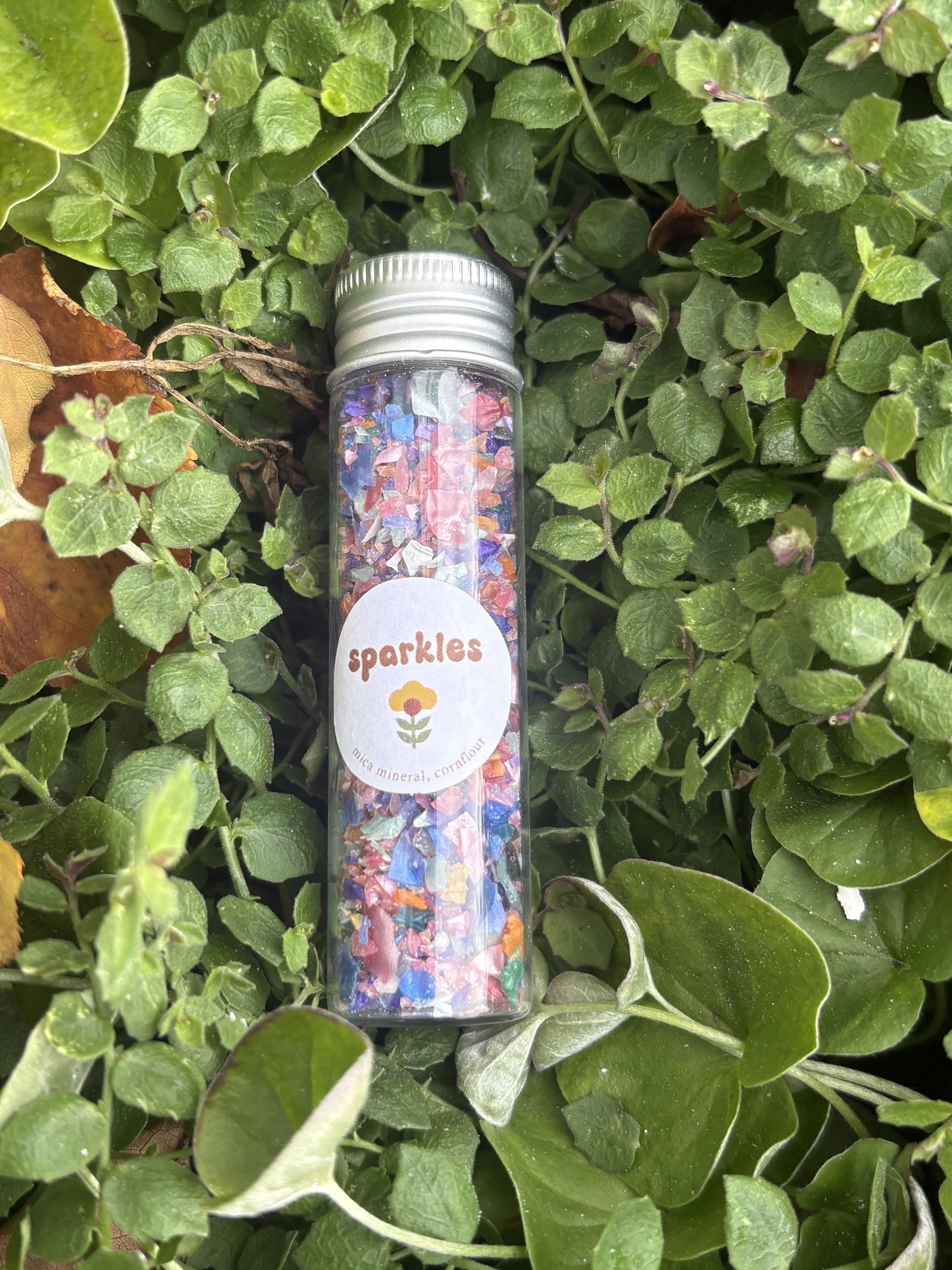 Eco Glitter for Kids by Wild Wanderers