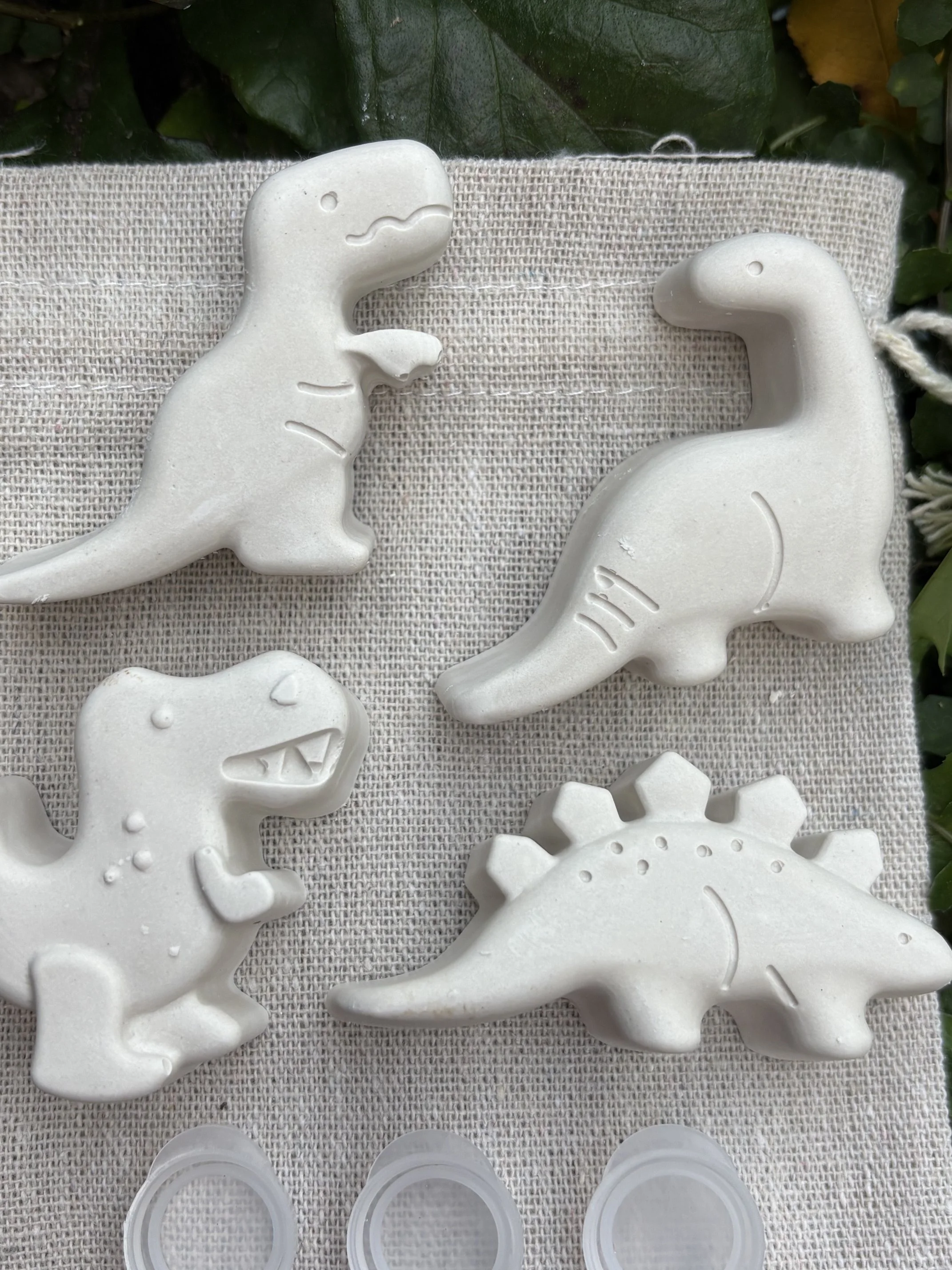 Paint Your Own Dinosaurs for Kids by Wild Wanderers NZ
