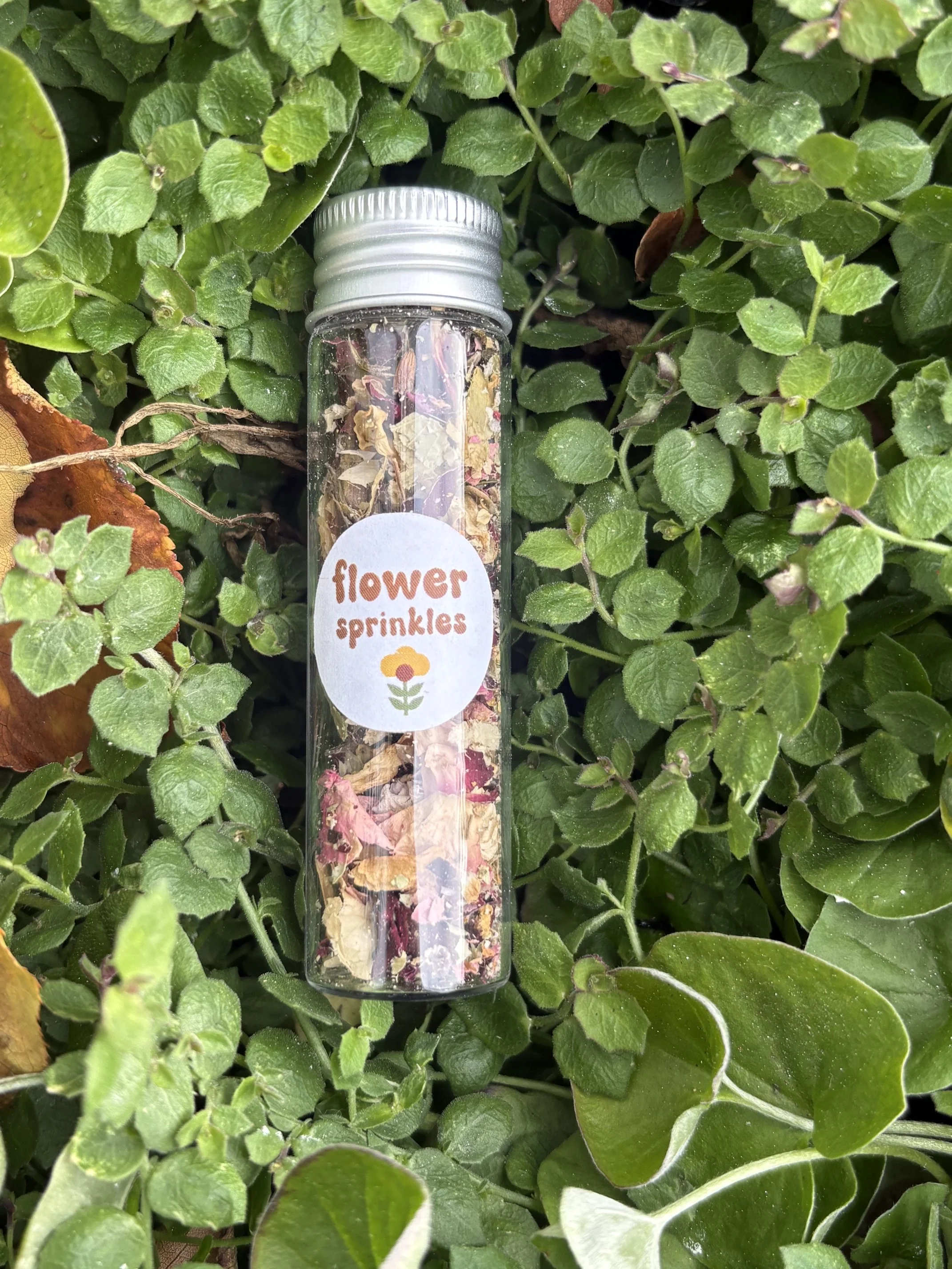 Dried Flower Tube for Kids by Wild Wanderers
