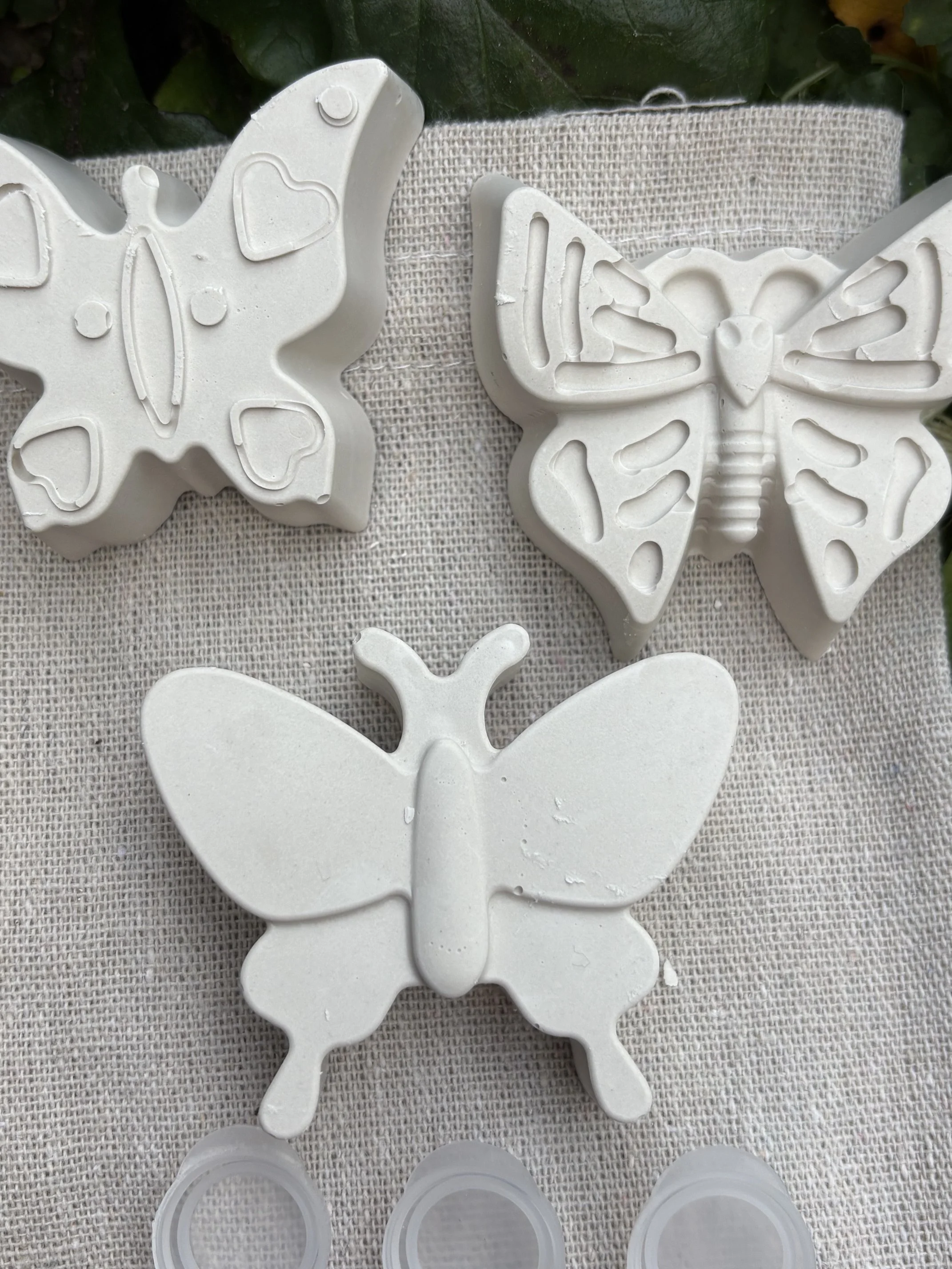 Paint Your Own Butterflies for Kids by Wild Wanderers NZ