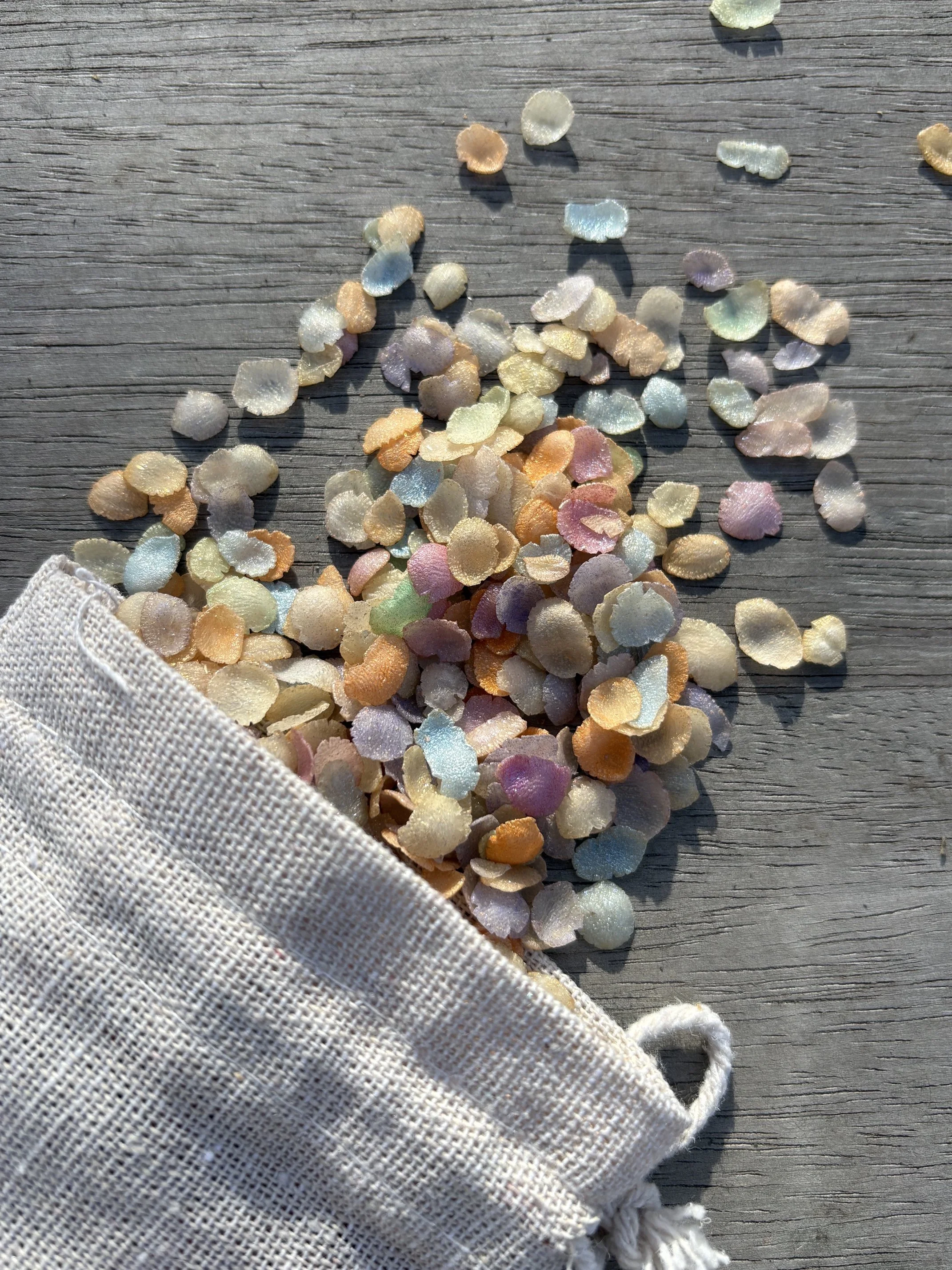 Rainbow Petals for kids by Wild Wanderers NZ