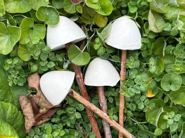 Paint your own mushroom kit for kids by wild wanderers