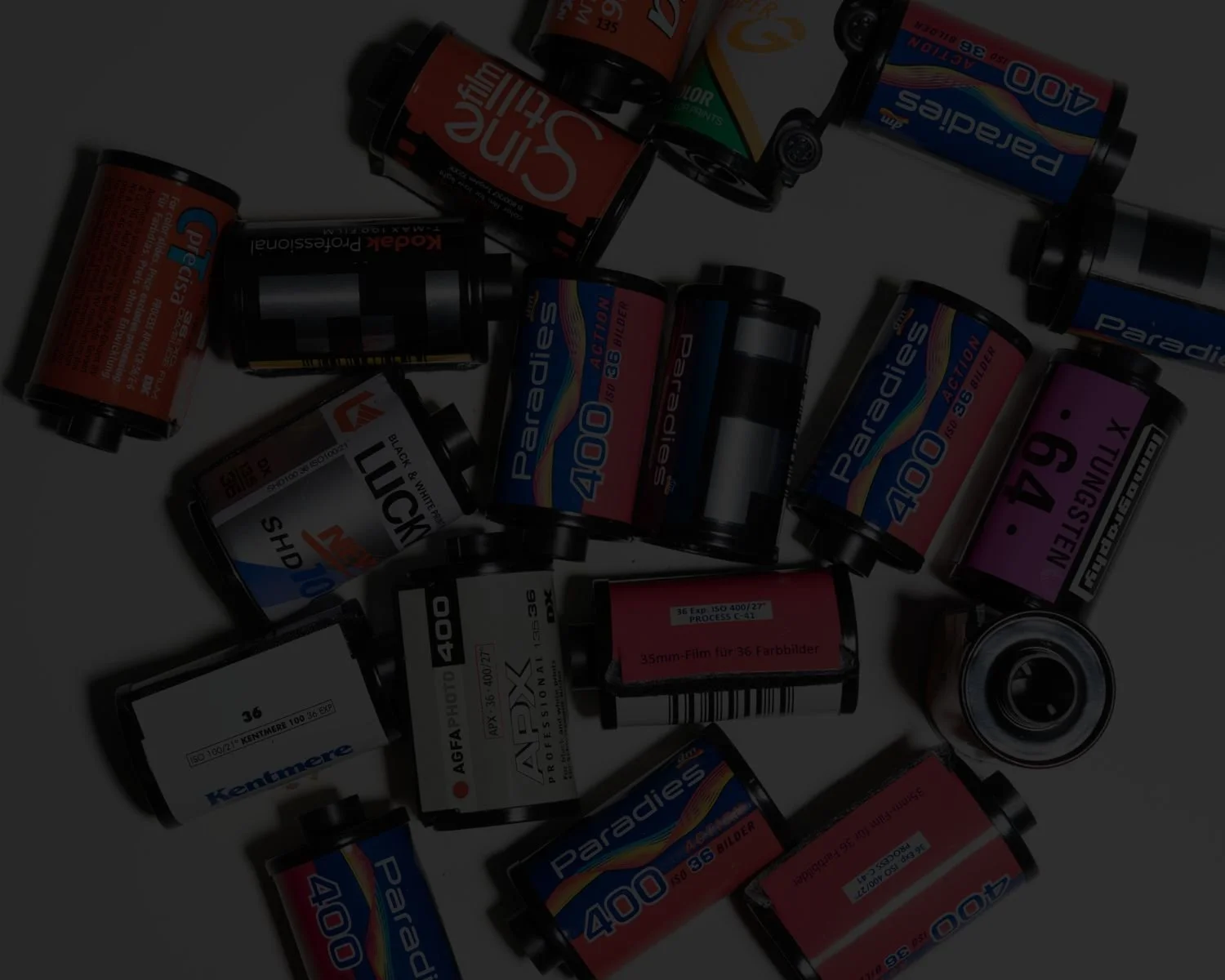 st petersburg design and marketing