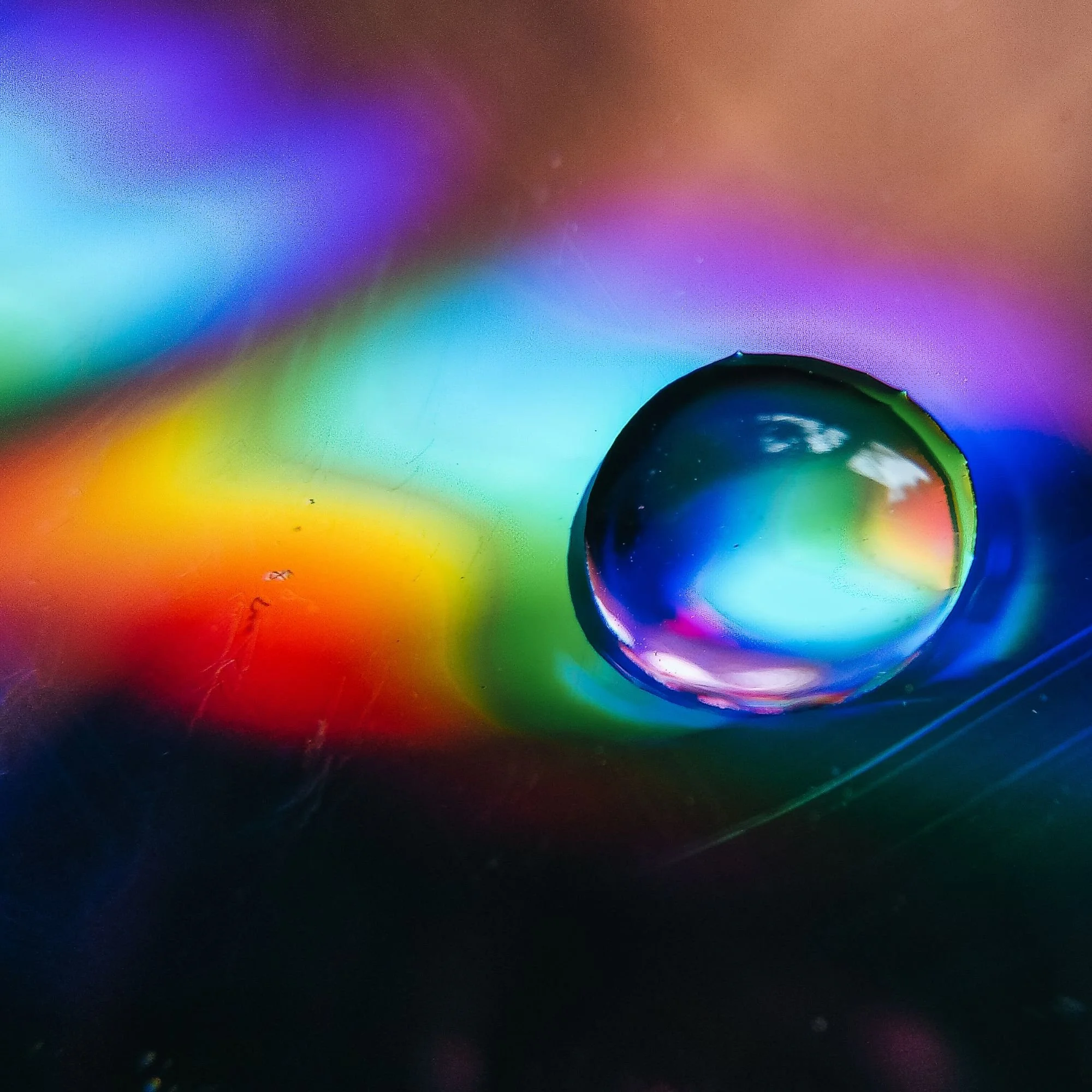 florida marketing and design studio