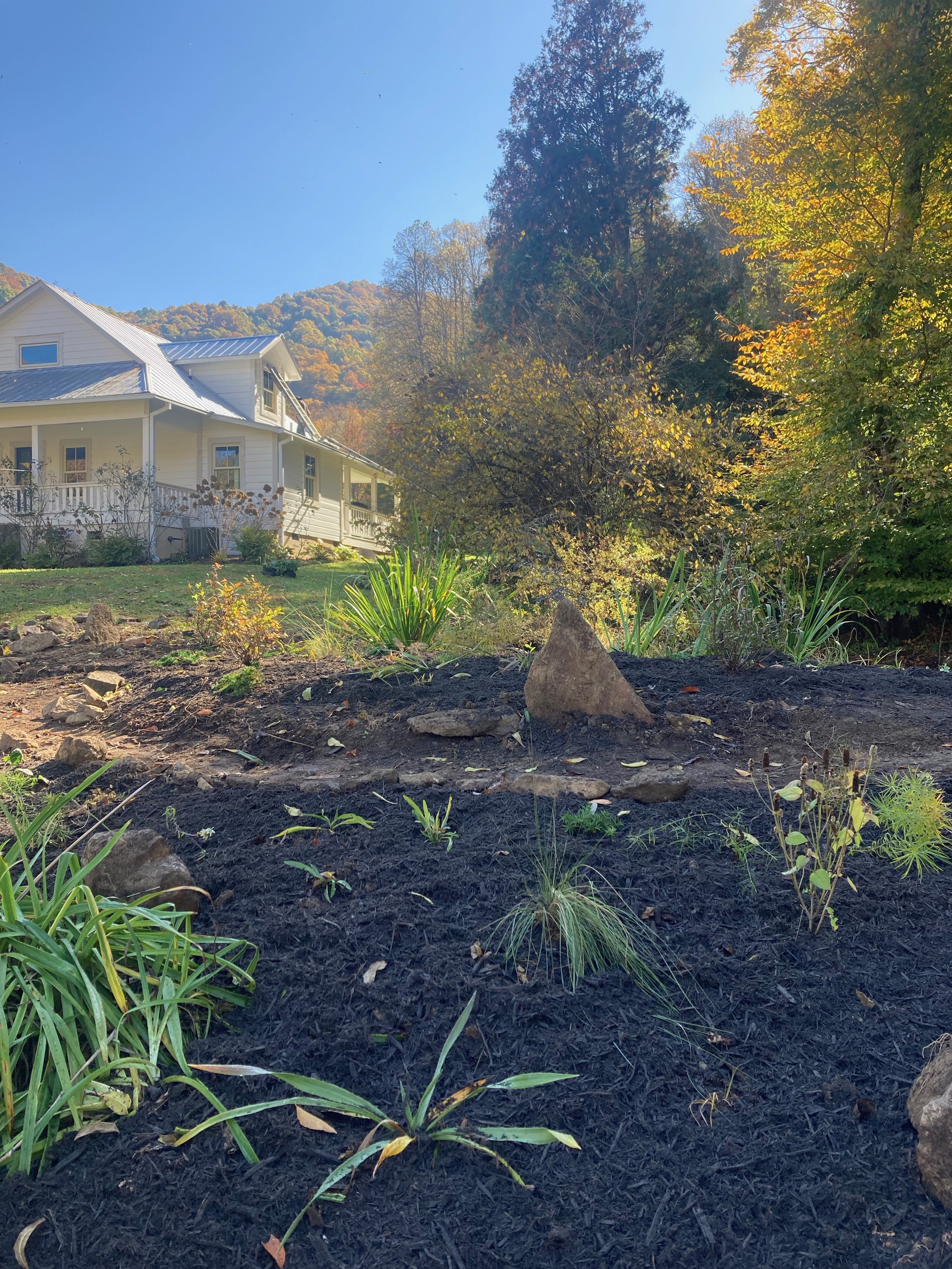 Township 10 pond garden