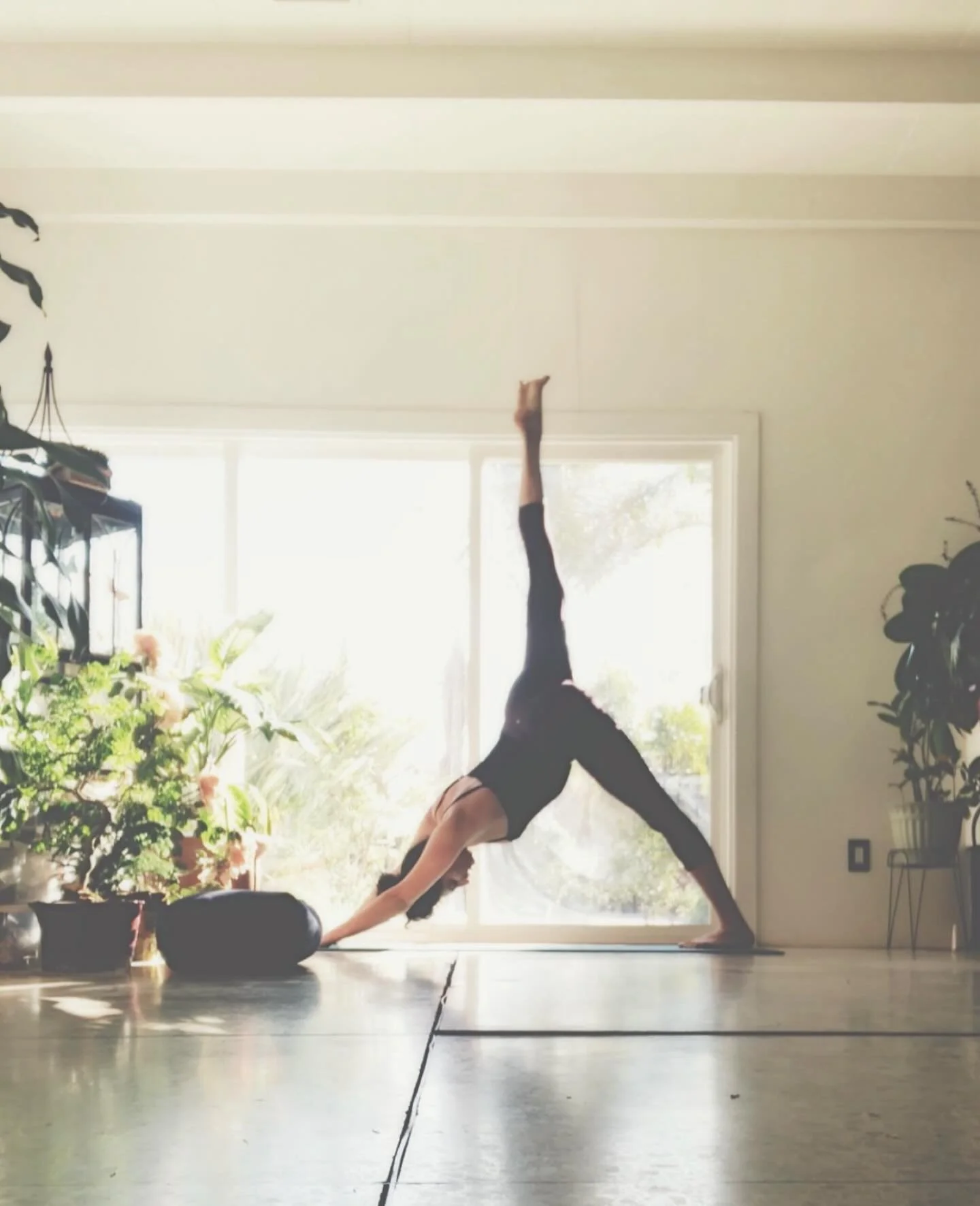 Dear Hendersonville &amp; Nashville friends, starting September 8th, we will have 3 opportunities to move together each week at @ufcgymhendersonville 🧘🏻&zwj;♀️🌿 ⬇️ 

Mondays @ 9 AM 
Thursdays 6 PM
Fridays 9 AM