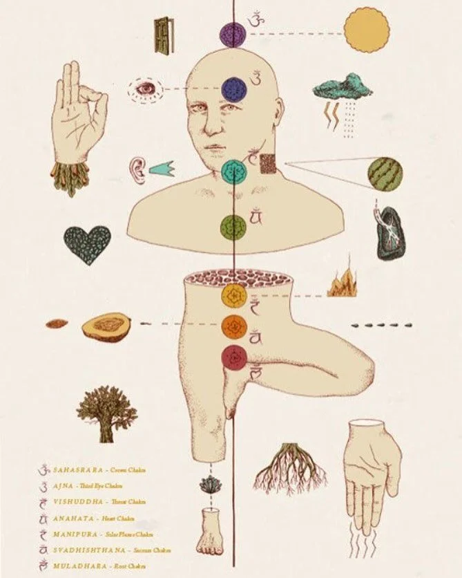 In Ayurveda, the chakras are vital energy centers that align with the elements, doshas, and all aspects of physical, emotional, and spiritual health. 

Muladhara (Root) is directly related to Apana Vayu (downward motion) and supports grounding and Va