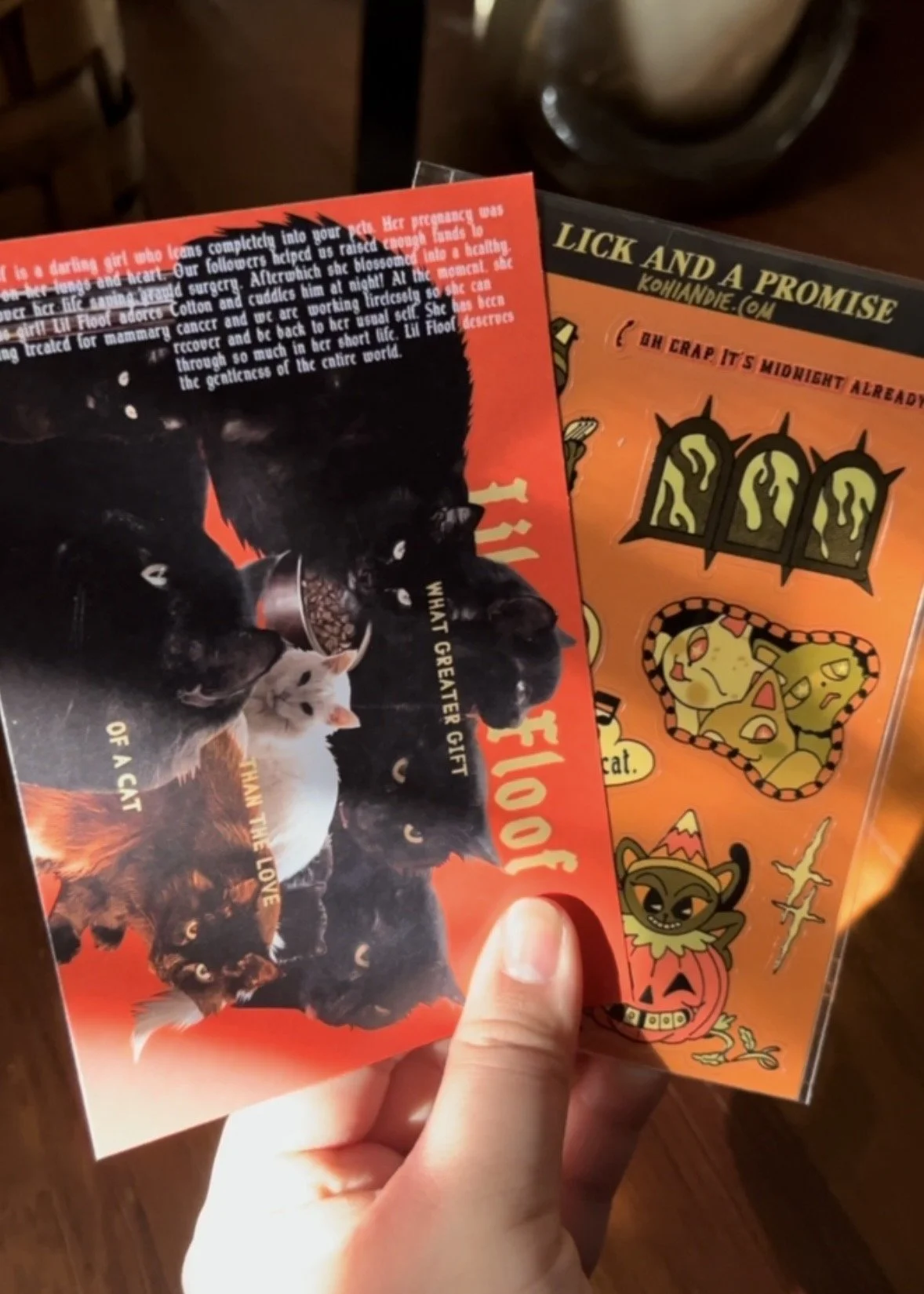 FUNDRAISING FOR LIL FLOOF! POSTCARD + STICKER