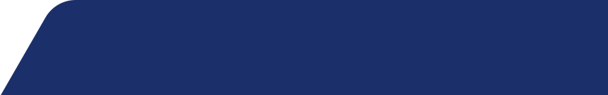 Minimalist decorative pattern on a dark blue background