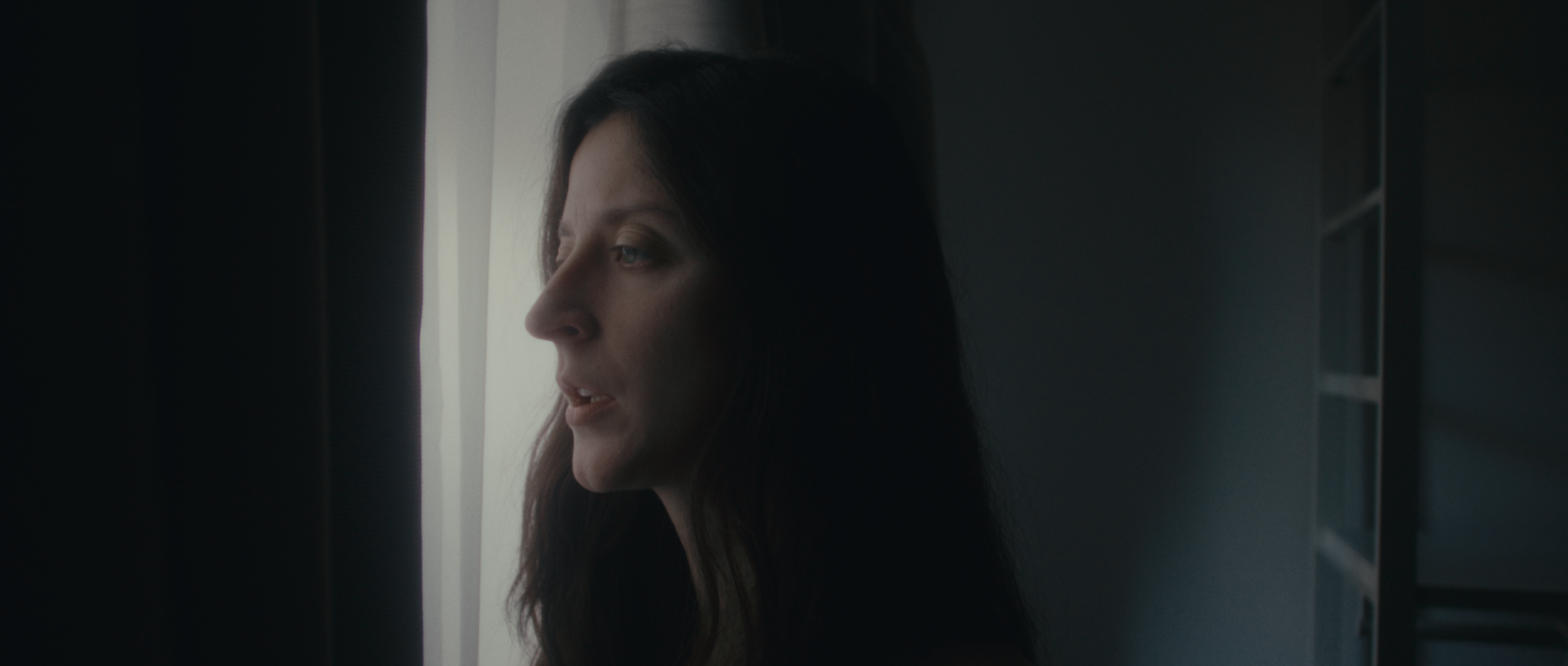 "The Abyss" directed by C.A. Cooper (Chris Cooper) and Virag Pazmany. Featuring Rita Sigmond.